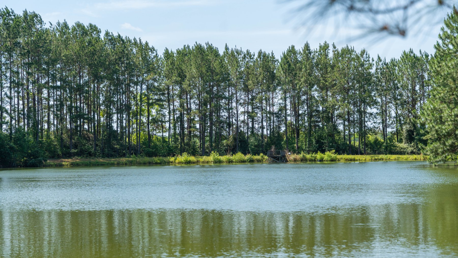 Image for 176+/- Acres - 6,546+/- SF Custom Lodge w/ Stocked Ponds & Food Plots - Mature Timber & Rocky Creek Frontage