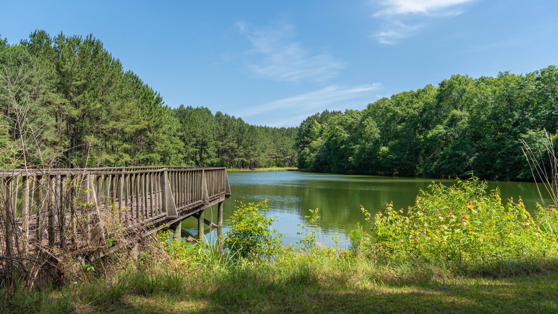 Image for 176+/- Acres - 6,546+/- SF Custom Lodge w/ Stocked Ponds & Food Plots - Mature Timber & Rocky Creek Frontage