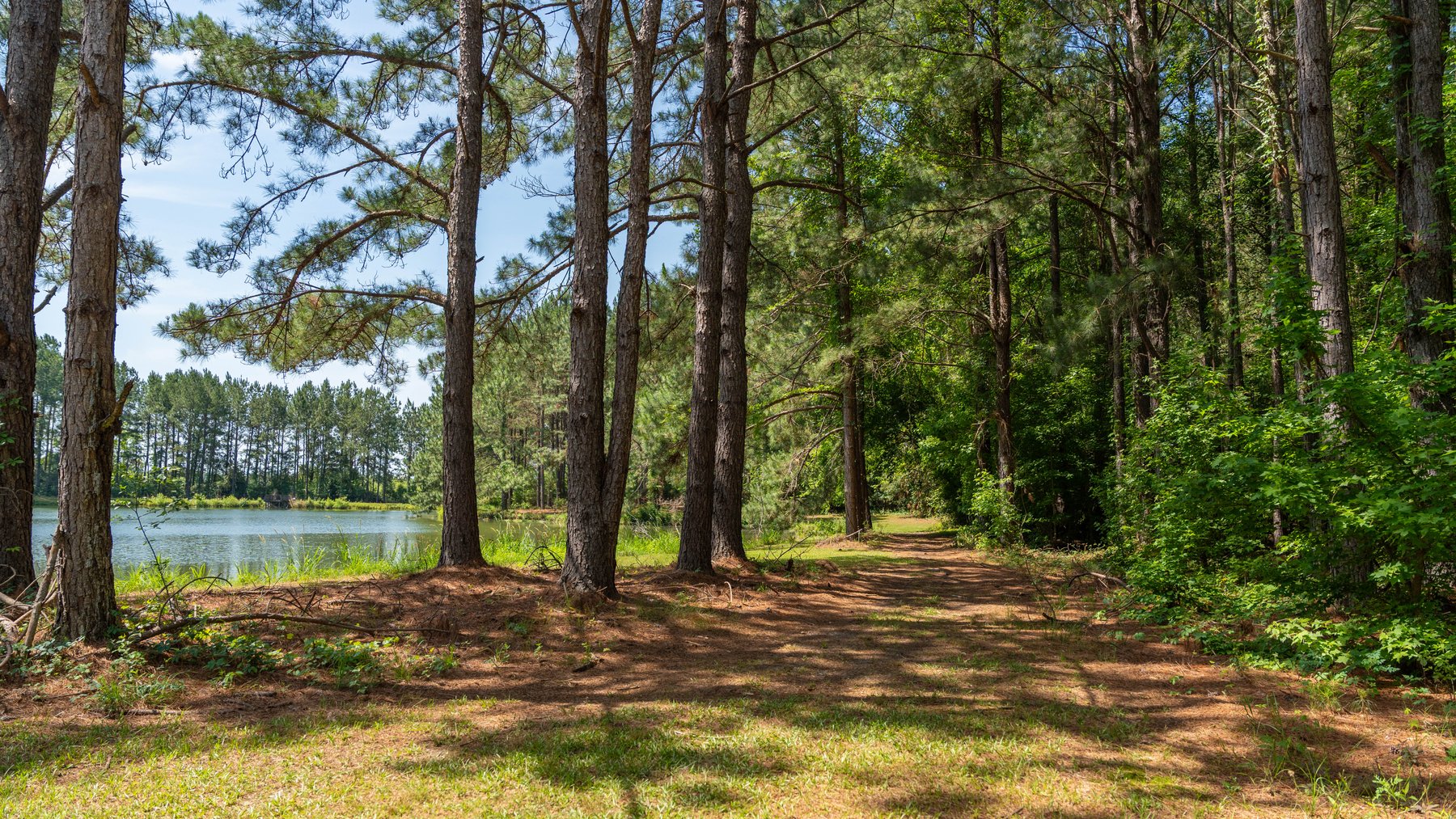 Image for 176+/- Acres - 6,546+/- SF Custom Lodge w/ Stocked Ponds & Food Plots - Mature Timber & Rocky Creek Frontage