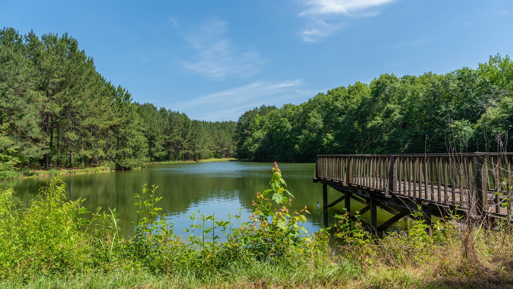Image for 176+/- Acres - 6,546+/- SF Custom Lodge w/ Stocked Ponds & Food Plots - Mature Timber & Rocky Creek Frontage