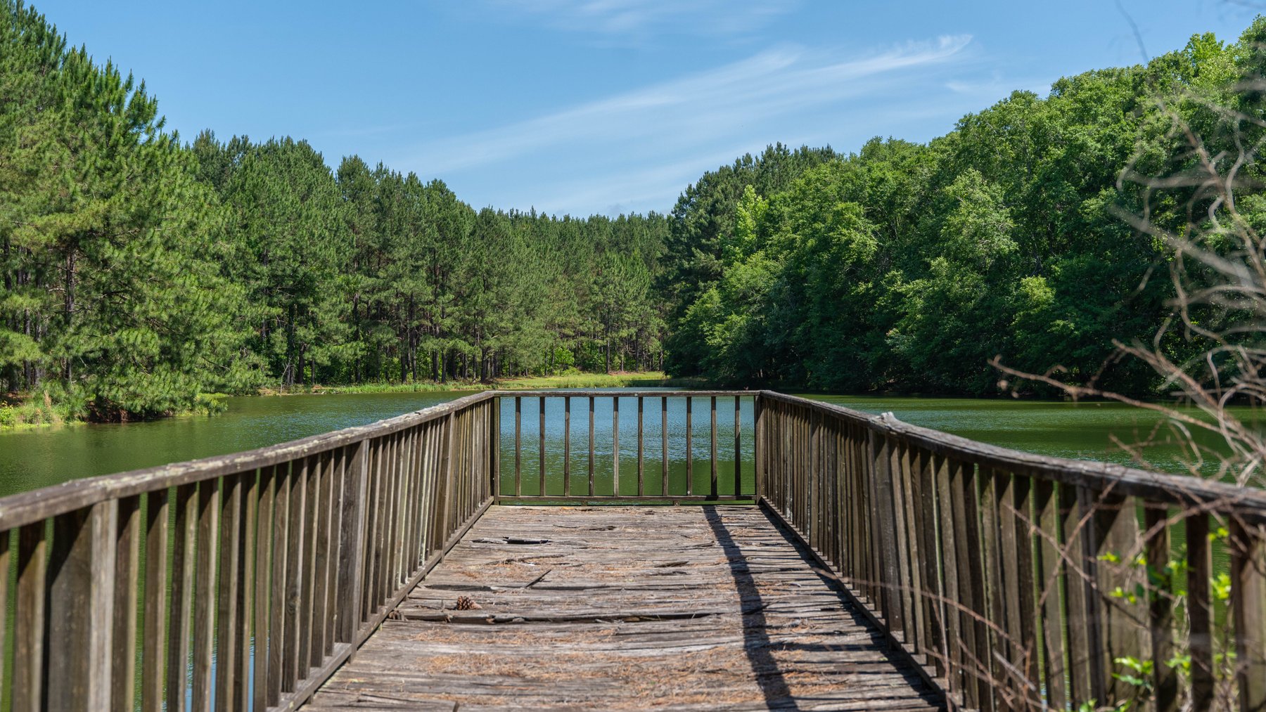Image for 176+/- Acres - 6,546+/- SF Custom Lodge w/ Stocked Ponds & Food Plots - Mature Timber & Rocky Creek Frontage