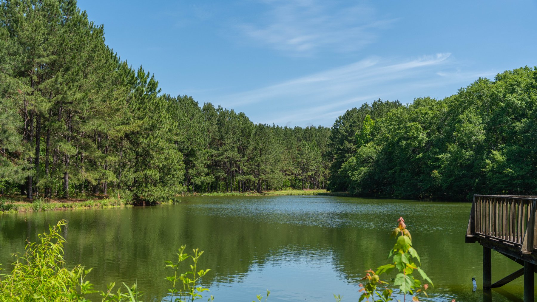 Image for 176+/- Acres - 6,546+/- SF Custom Lodge w/ Stocked Ponds & Food Plots - Mature Timber & Rocky Creek Frontage