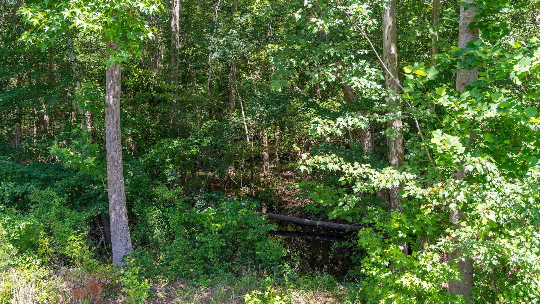 Image for 176+/- Acres - 6,546+/- SF Custom Lodge w/ Stocked Ponds & Food Plots - Mature Timber & Rocky Creek Frontage