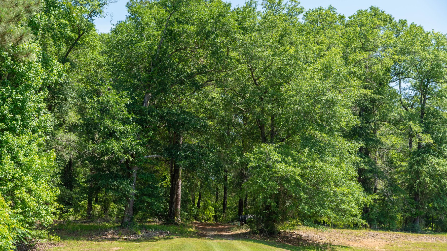 Image for 176+/- Acres - 6,546+/- SF Custom Lodge w/ Stocked Ponds & Food Plots - Mature Timber & Rocky Creek Frontage