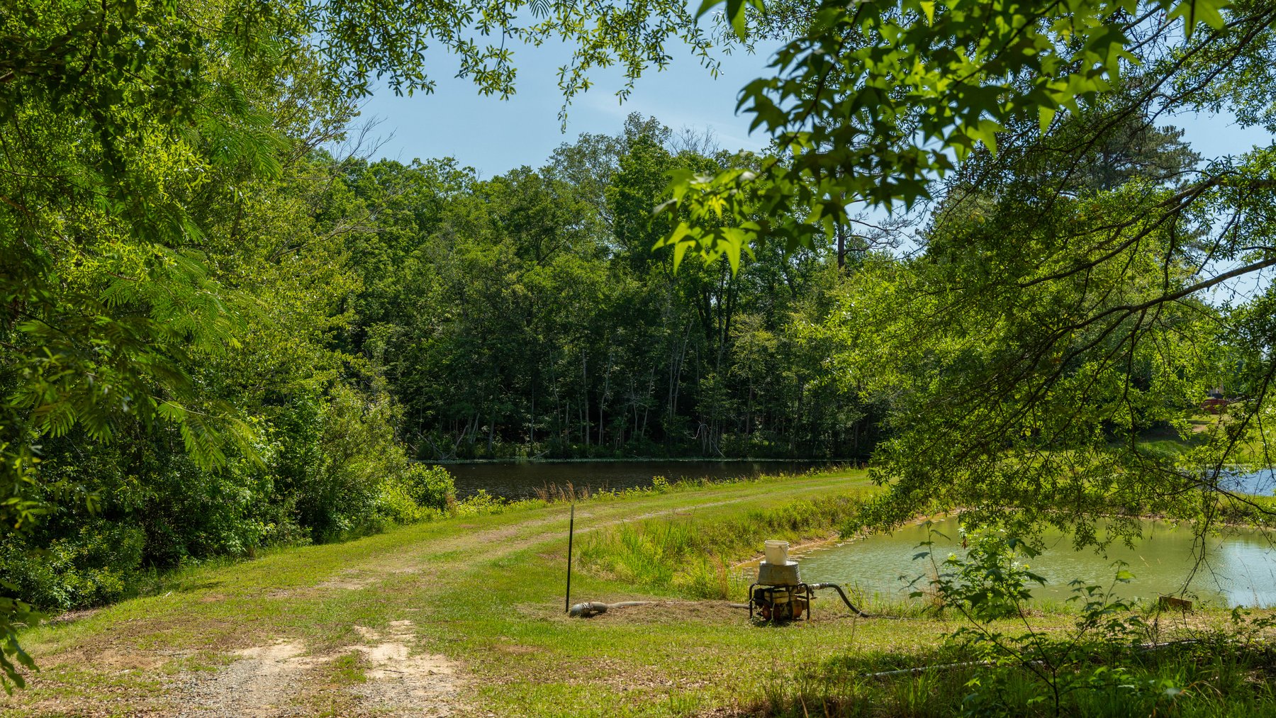 Image for 176+/- Acres - 6,546+/- SF Custom Lodge w/ Stocked Ponds & Food Plots - Mature Timber & Rocky Creek Frontage
