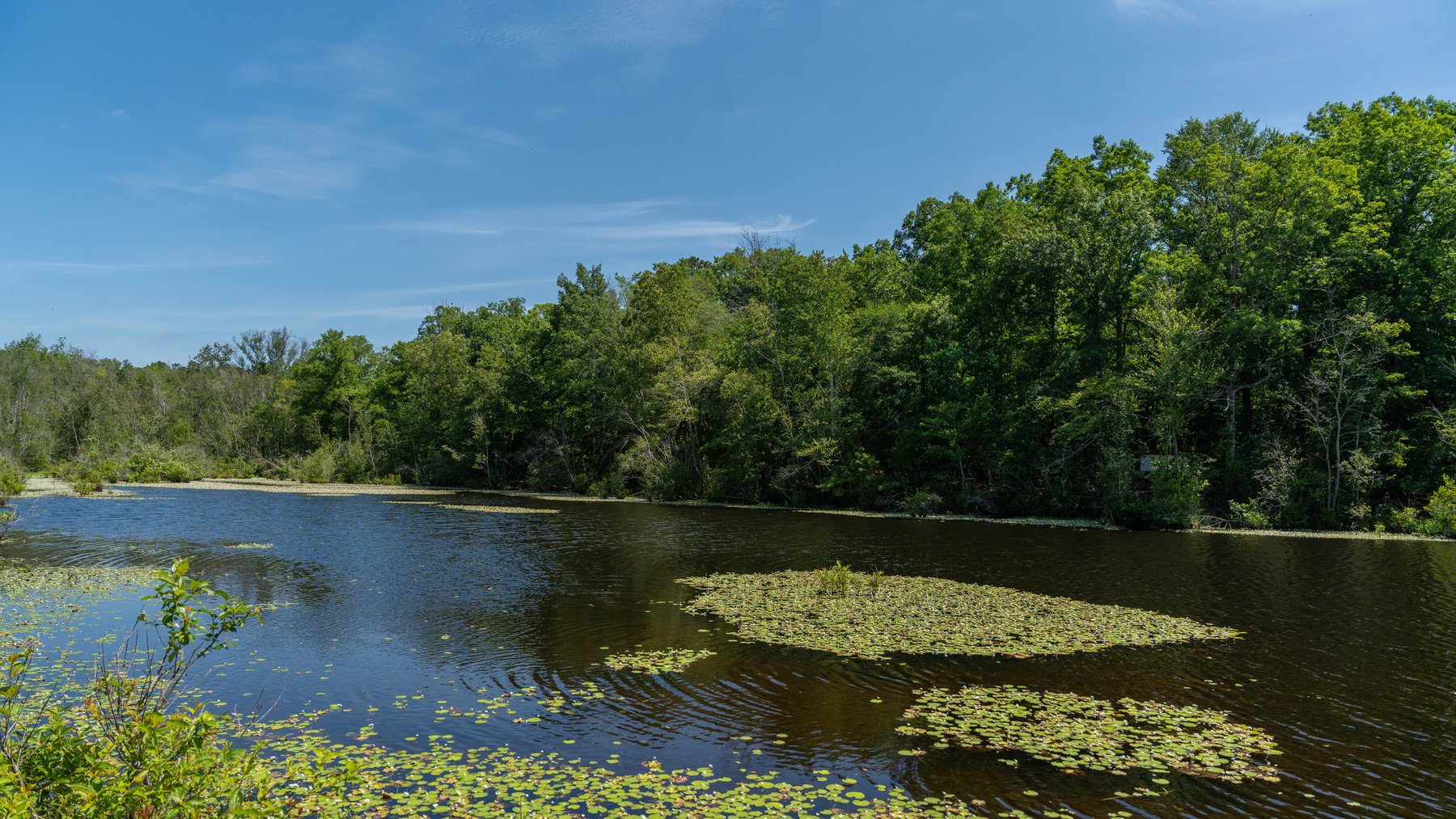 Image for 176+/- Acres - 6,546+/- SF Custom Lodge w/ Stocked Ponds & Food Plots - Mature Timber & Rocky Creek Frontage