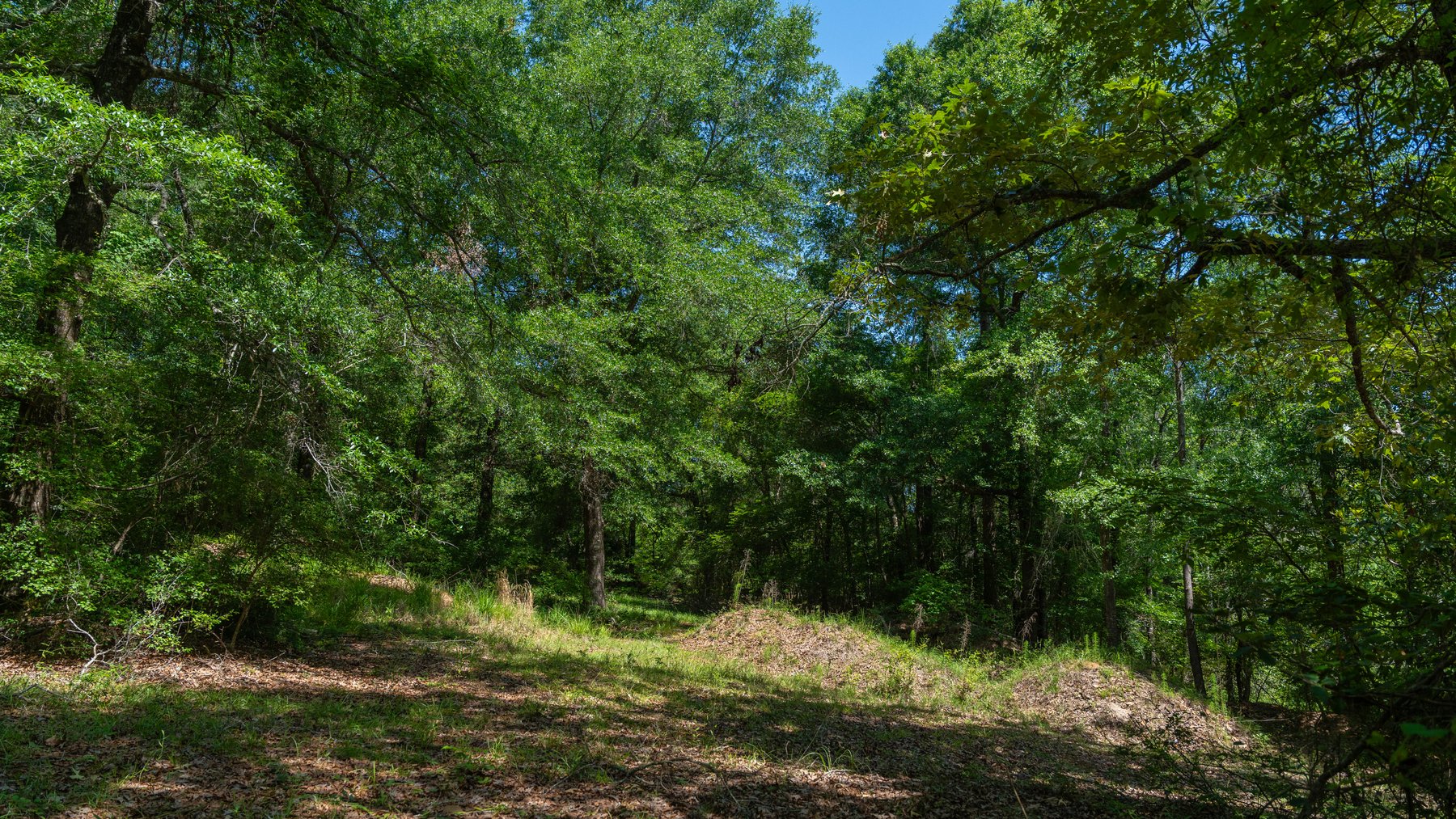 Image for 176+/- Acres - 6,546+/- SF Custom Lodge w/ Stocked Ponds & Food Plots - Mature Timber & Rocky Creek Frontage