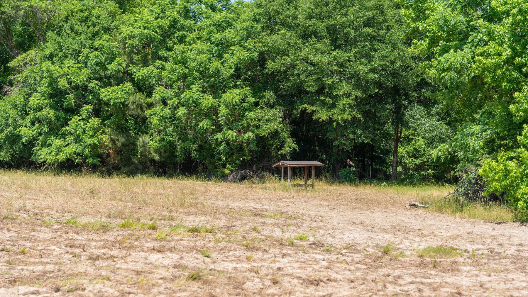 Image for 176+/- Acres - 6,546+/- SF Custom Lodge w/ Stocked Ponds & Food Plots - Mature Timber & Rocky Creek Frontage