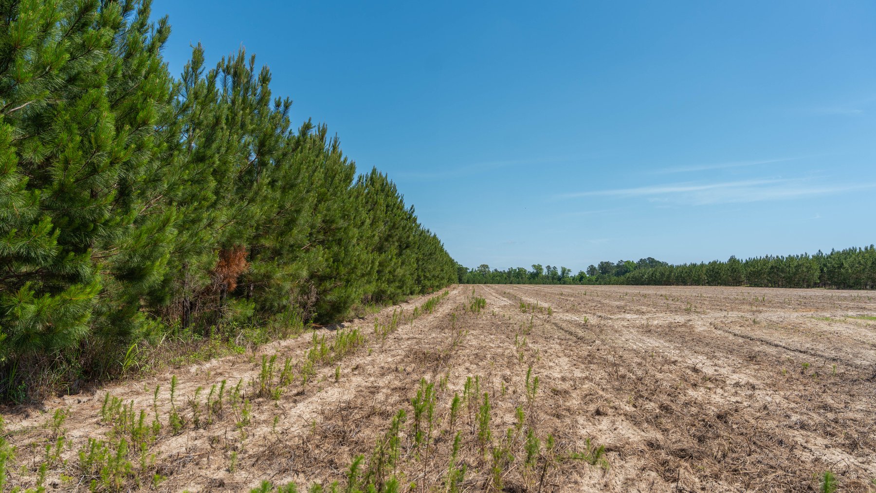 Image for 176+/- Acres - 6,546+/- SF Custom Lodge w/ Stocked Ponds & Food Plots - Mature Timber & Rocky Creek Frontage