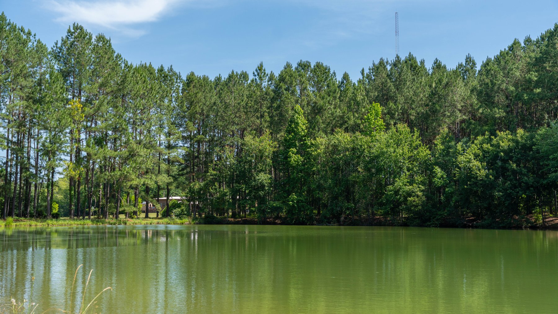 Image for 176+/- Acres - 6,546+/- SF Custom Lodge w/ Stocked Ponds & Food Plots - Mature Timber & Rocky Creek Frontage