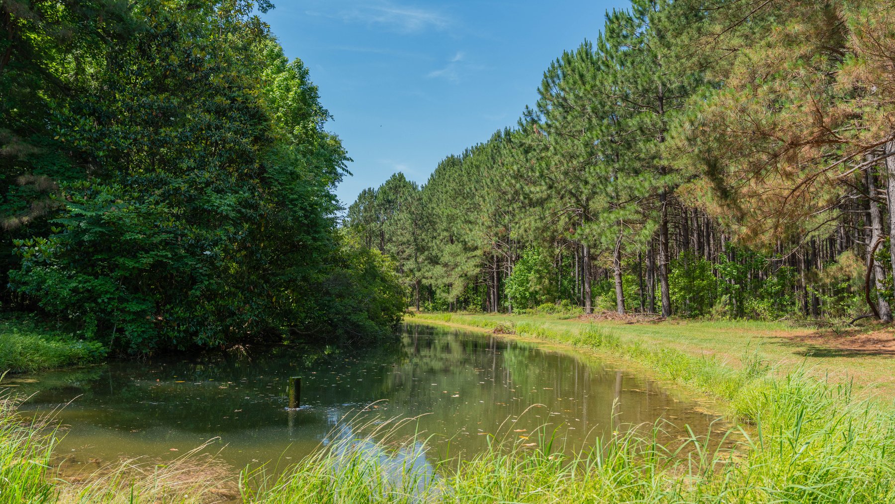 Image for 176+/- Acres - 6,546+/- SF Custom Lodge w/ Stocked Ponds & Food Plots - Mature Timber & Rocky Creek Frontage