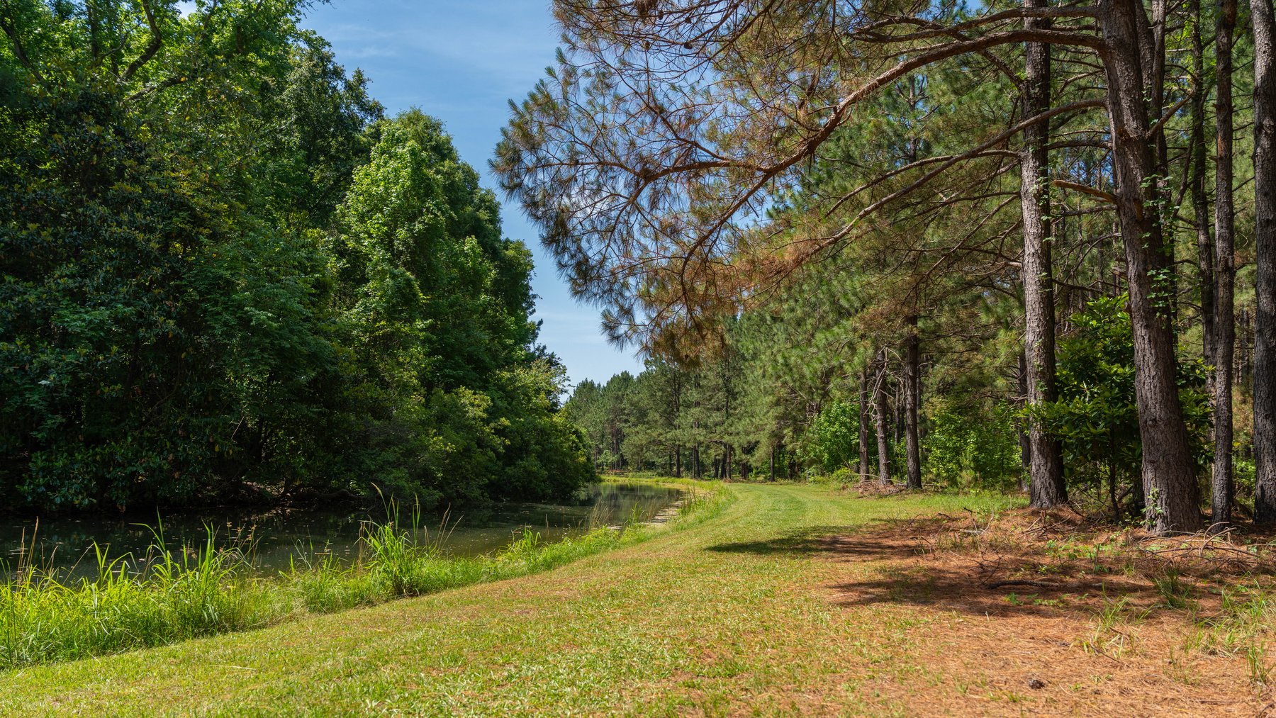 Image for 176+/- Acres - 6,546+/- SF Custom Lodge w/ Stocked Ponds & Food Plots - Mature Timber & Rocky Creek Frontage