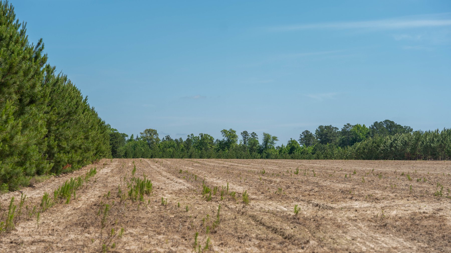 Image for 176+/- Acres - 6,546+/- SF Custom Lodge w/ Stocked Ponds & Food Plots - Mature Timber & Rocky Creek Frontage