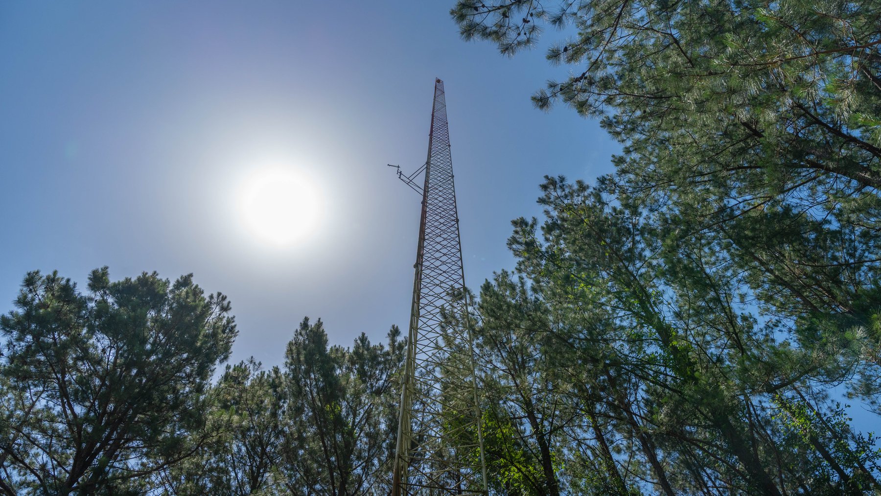 Image for 176+/- Acres - 6,546+/- SF Custom Lodge w/ Stocked Ponds & Food Plots - Mature Timber & Rocky Creek Frontage