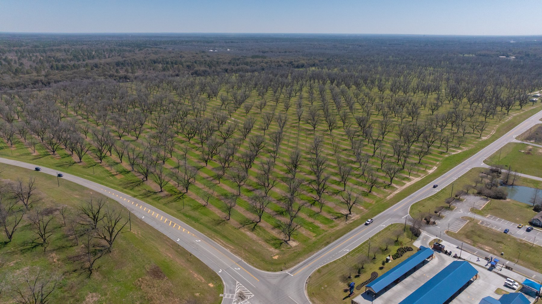 Image for Forrester - 1.32+/- Acres - Flint Ventures Commercial Acreage