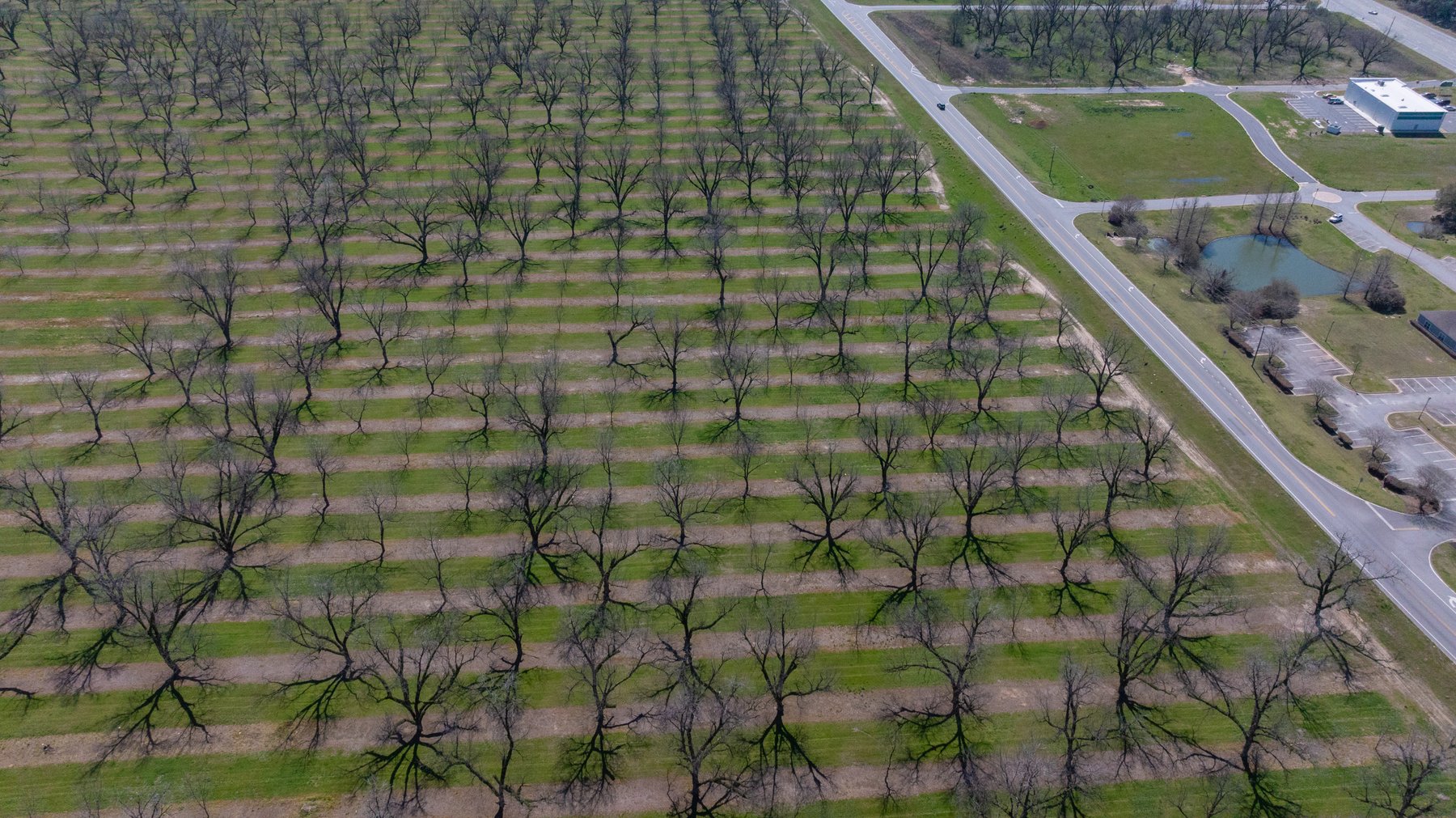 Image for Forrester - 1.32+/- Acres - Flint Ventures Commercial Acreage