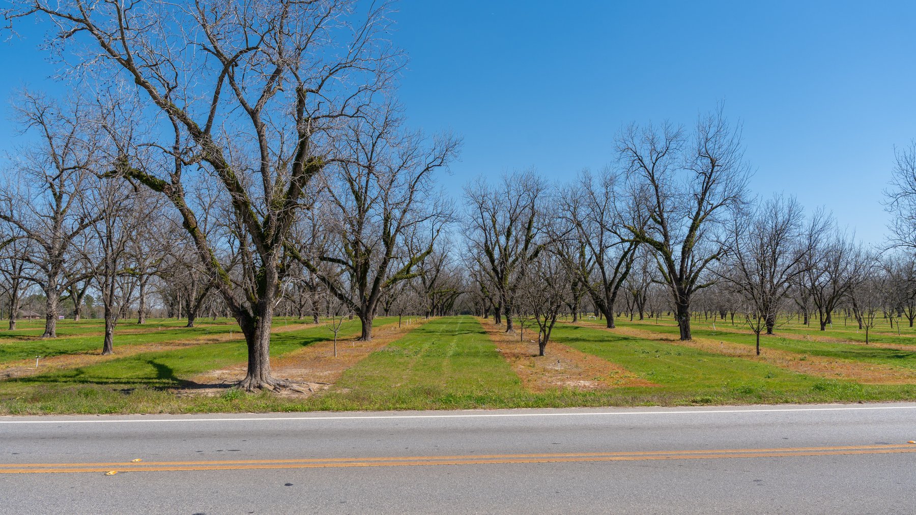 Image for Forrester - 1.32+/- Acres - Flint Ventures Commercial Acreage