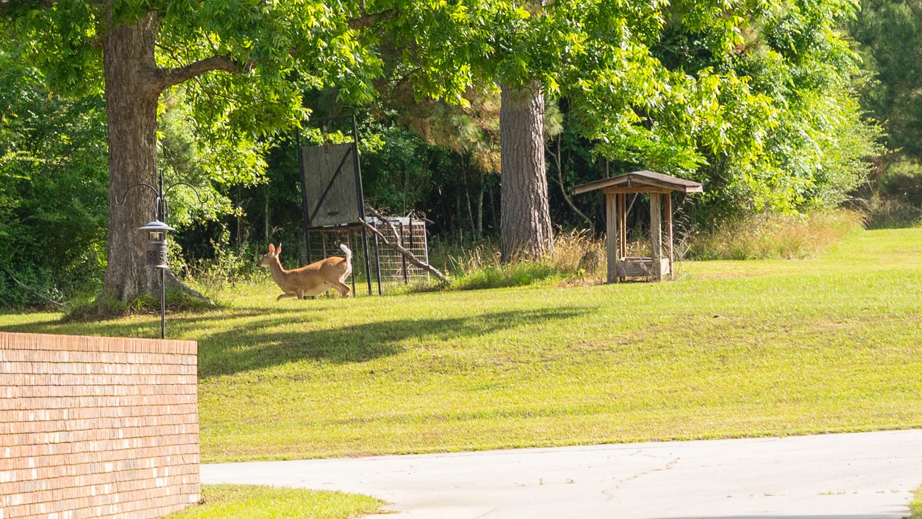 Image for 176+/- Acres - 6,546+/- SF Custom Lodge w/ Stocked Ponds & Food Plots - Mature Timber & Rocky Creek Frontage