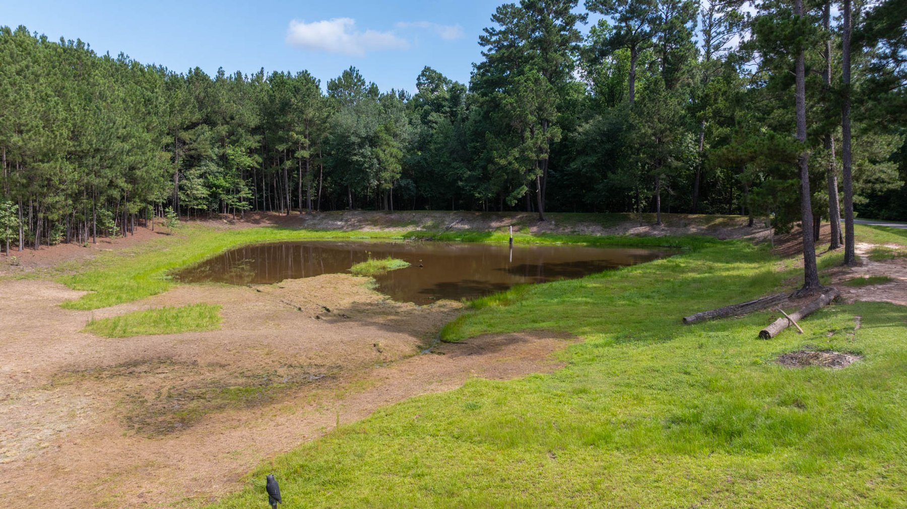 Image for 28.58+/- Total Acres -  Rental Home w/ Mature Timber - Recreational & Investment Opportunity