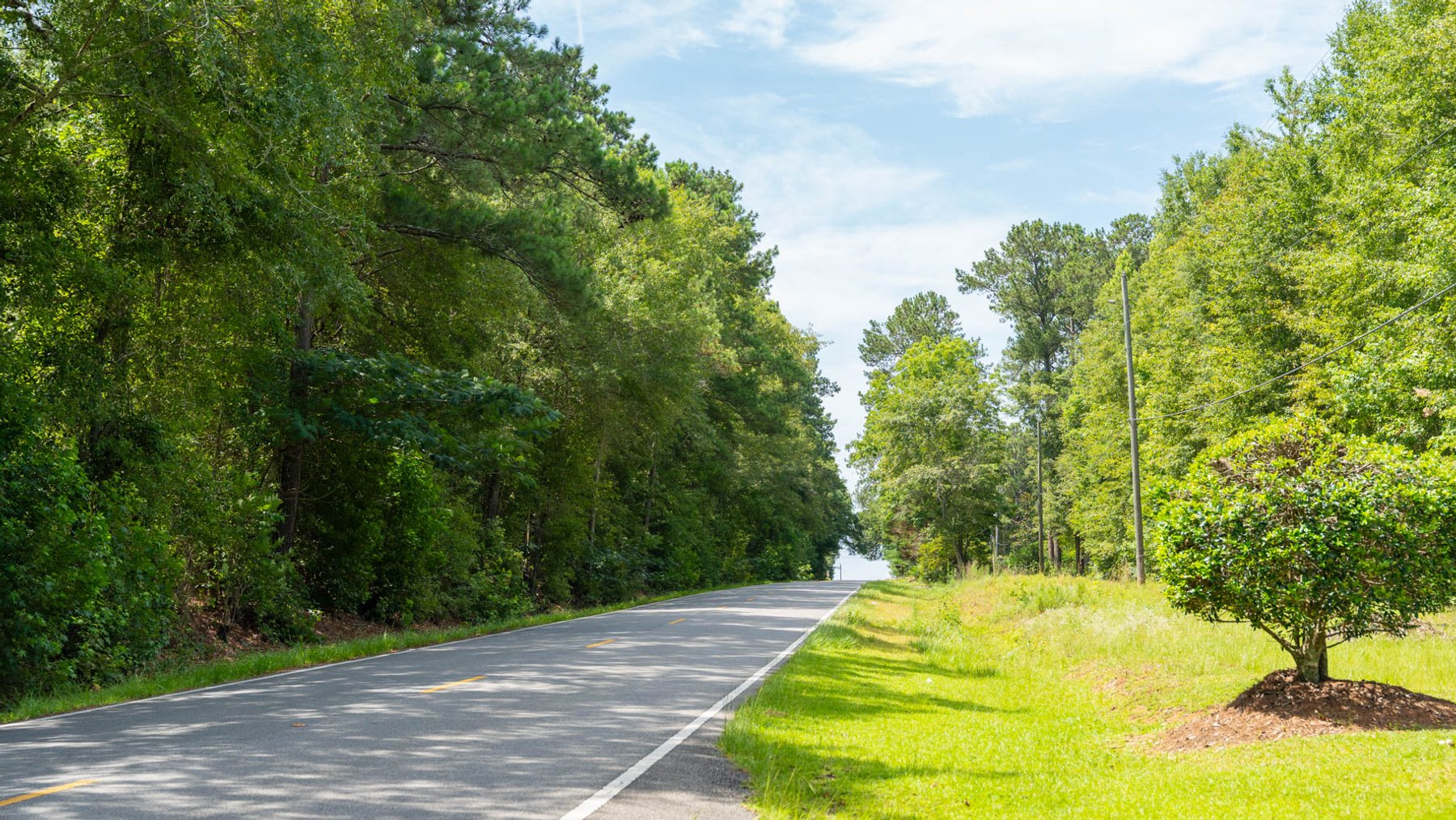 Image for 28.58+/- Total Acres -  Rental Home w/ Mature Timber - Recreational & Investment Opportunity