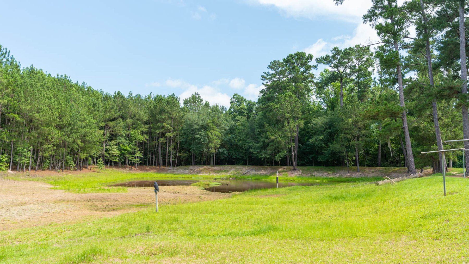Image for 28.58+/- Total Acres -  Rental Home w/ Mature Timber - Recreational & Investment Opportunity