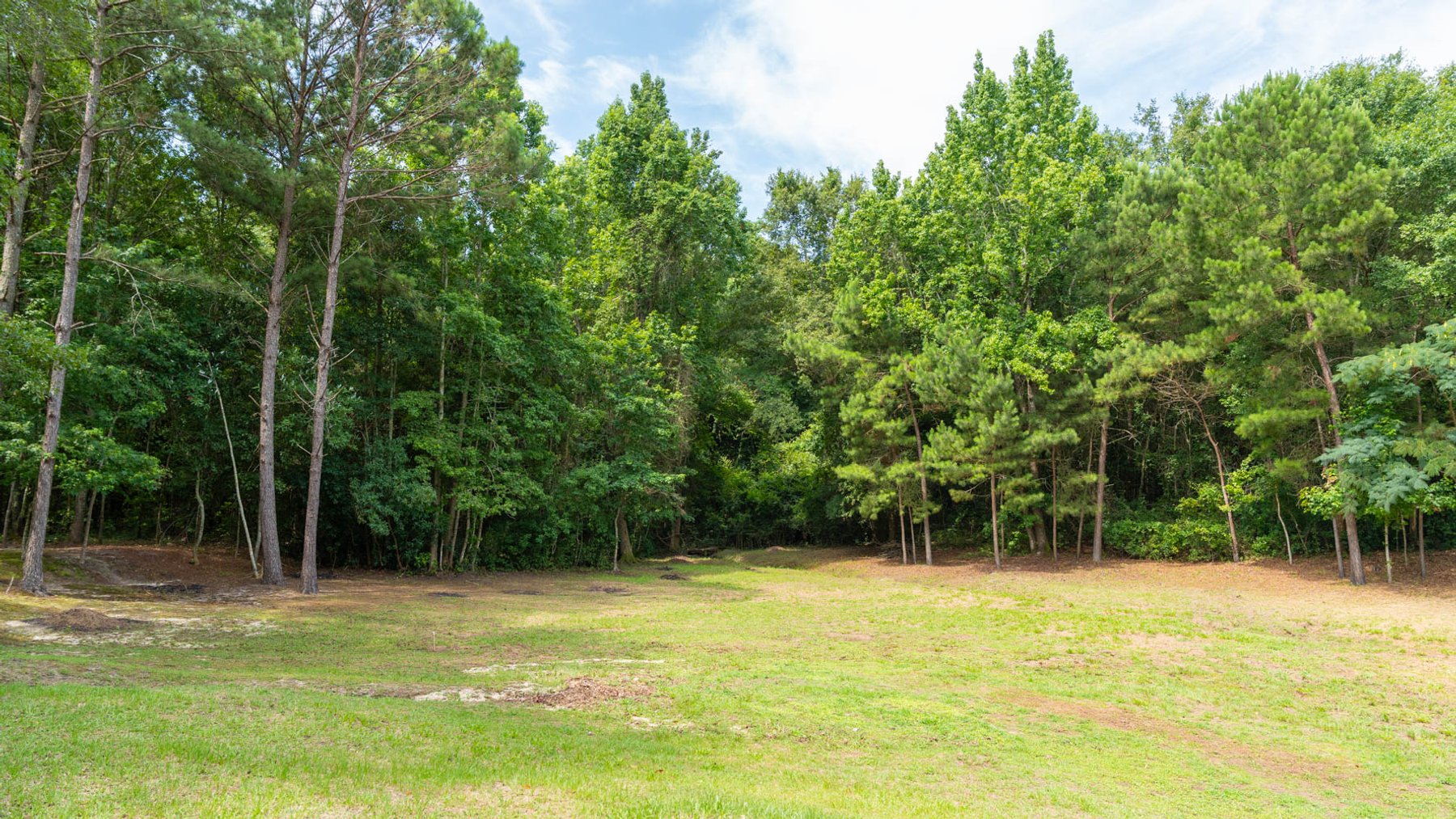 Image for 28.58+/- Total Acres -  Rental Home w/ Mature Timber - Recreational & Investment Opportunity