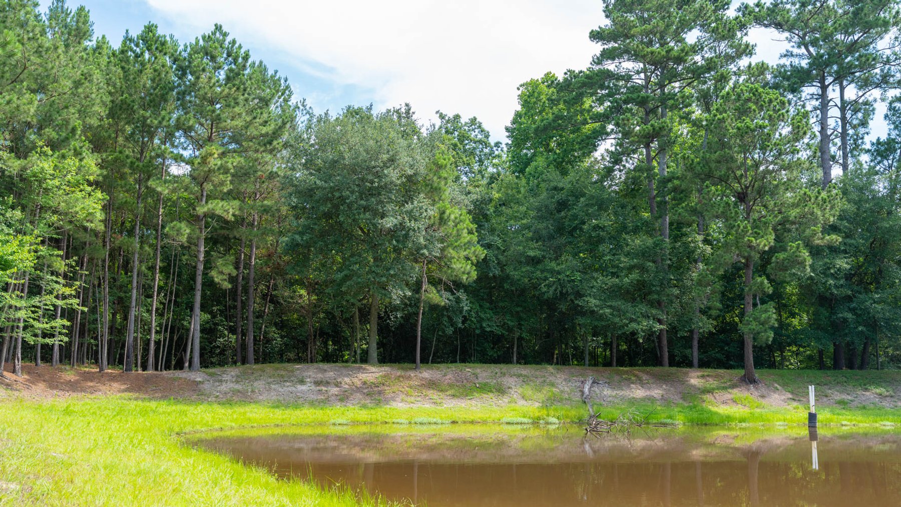 Image for 28.58+/- Total Acres -  Rental Home w/ Mature Timber - Recreational & Investment Opportunity