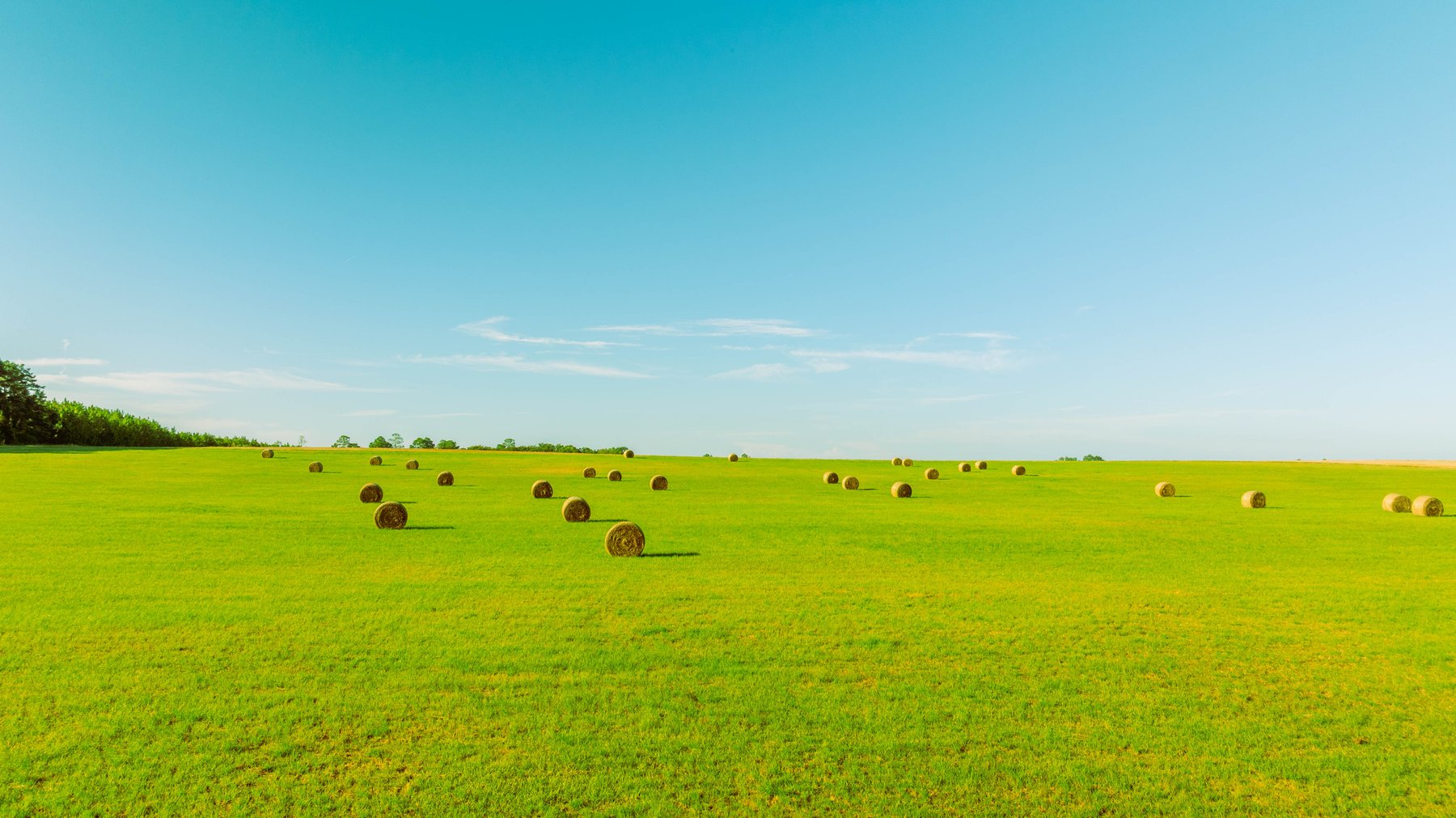 Image for 224+/- Total Acres – The Bowen Farm - Productive Farmland w/ Brick Home, Coastal Hayfields & Large Metal Building
