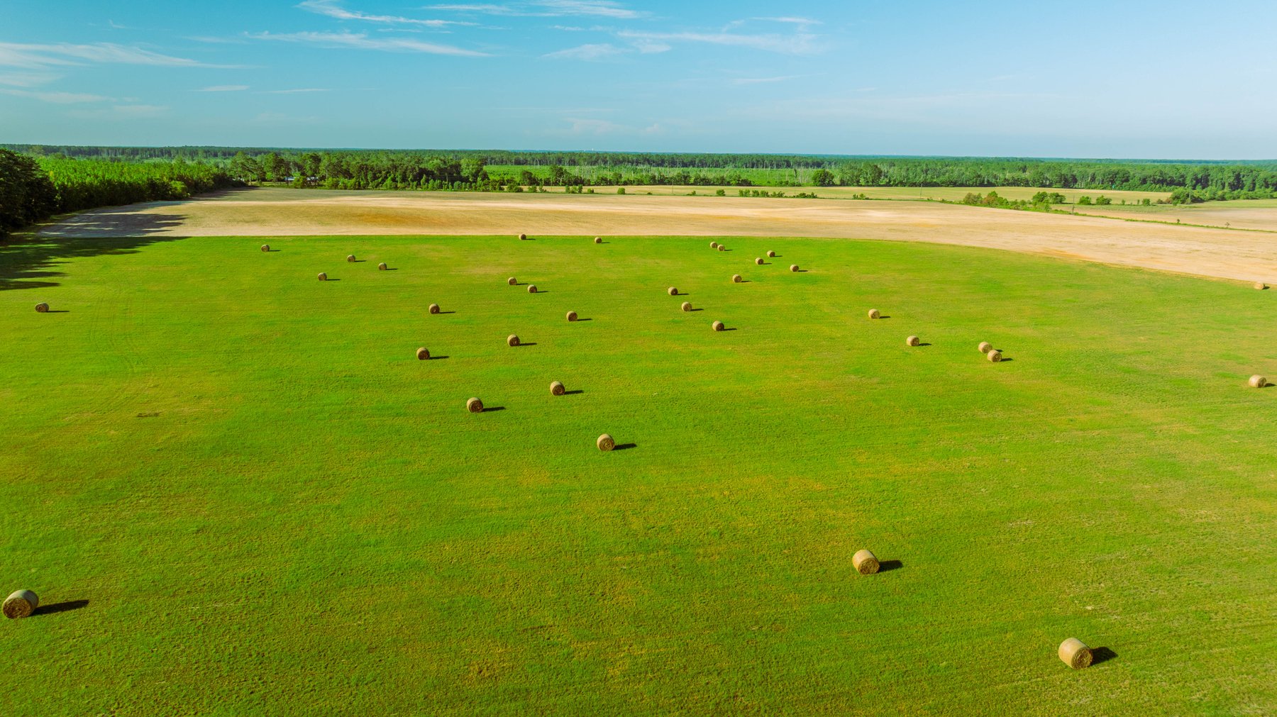 Image for 224+/- Total Acres – The Bowen Farm - Productive Farmland w/ Brick Home, Coastal Hayfields & Large Metal Building