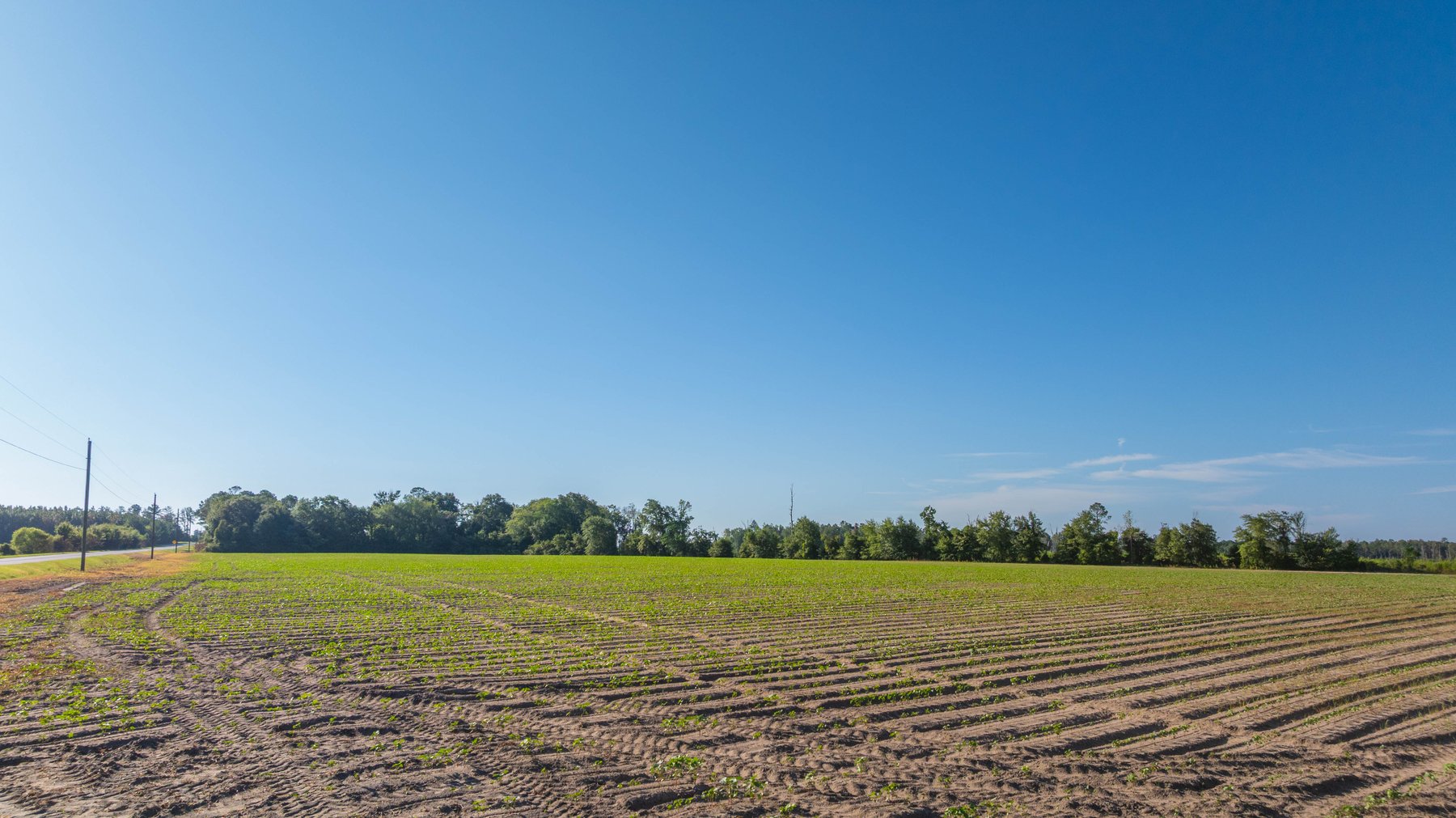 Image for 224+/- Total Acres – The Bowen Farm - Productive Farmland w/ Brick Home, Coastal Hayfields & Large Metal Building