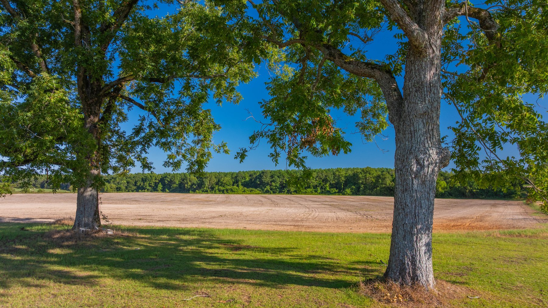 Image for 224+/- Total Acres – The Bowen Farm - Productive Farmland w/ Brick Home, Coastal Hayfields & Large Metal Building