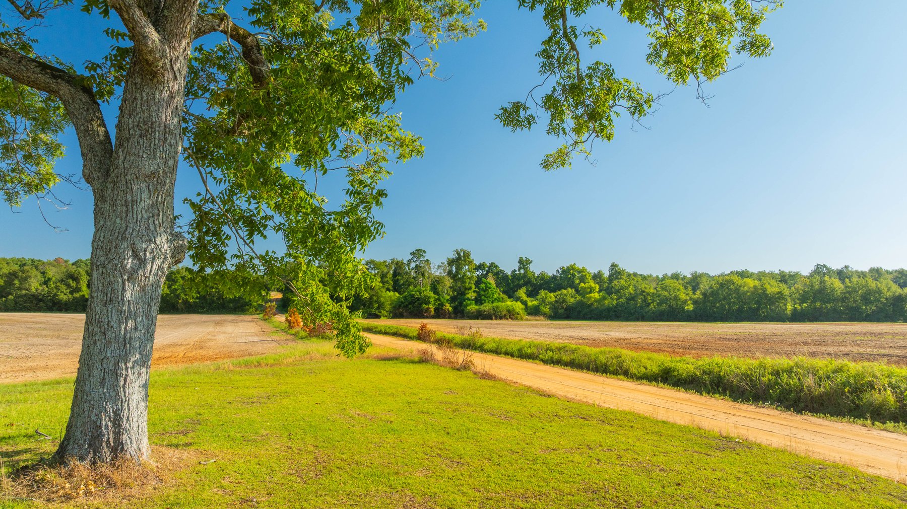 Image for 224+/- Total Acres – The Bowen Farm - Productive Farmland w/ Brick Home, Coastal Hayfields & Large Metal Building