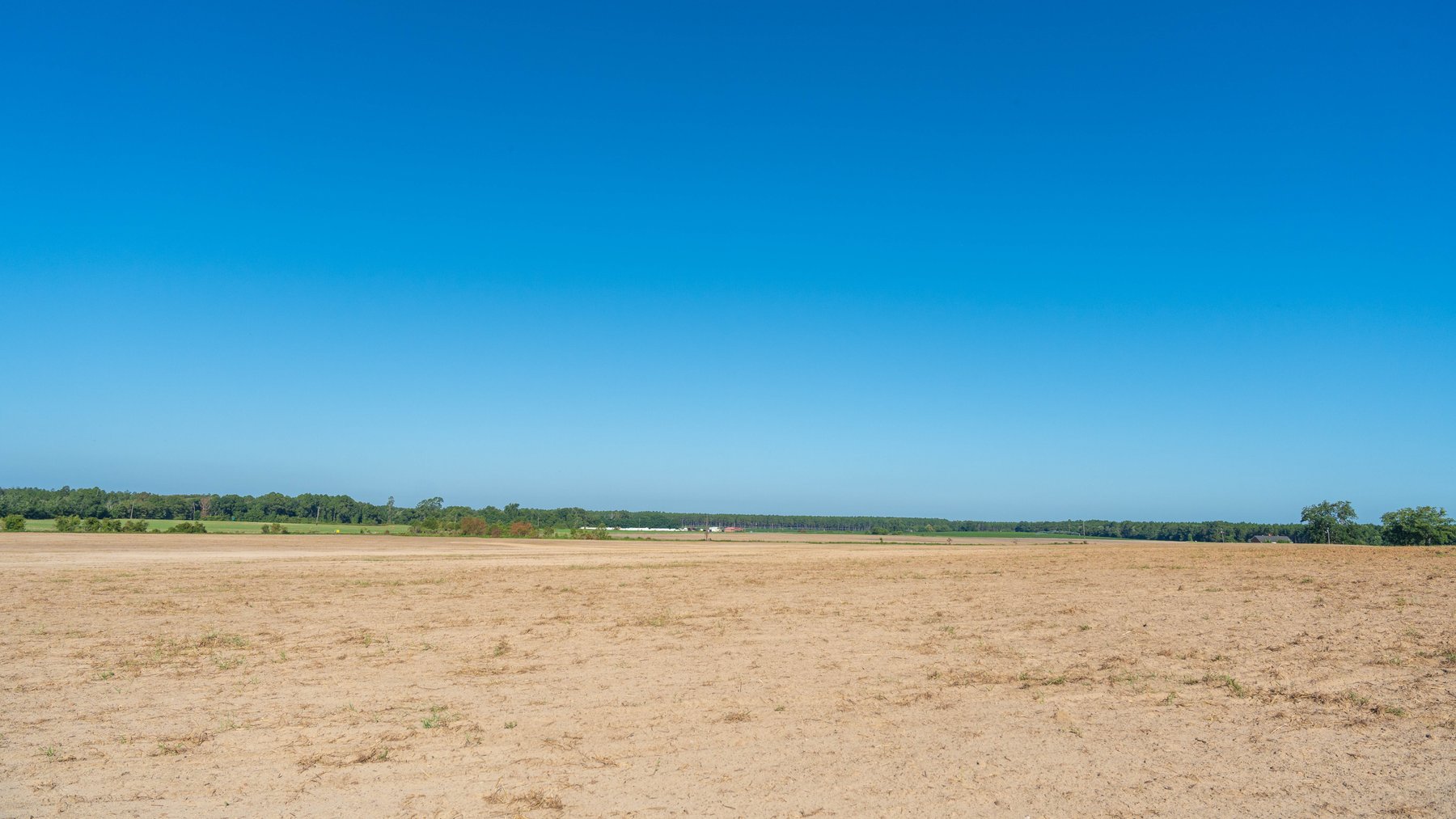 Image for 224+/- Total Acres – The Bowen Farm - Productive Farmland w/ Brick Home, Coastal Hayfields & Large Metal Building