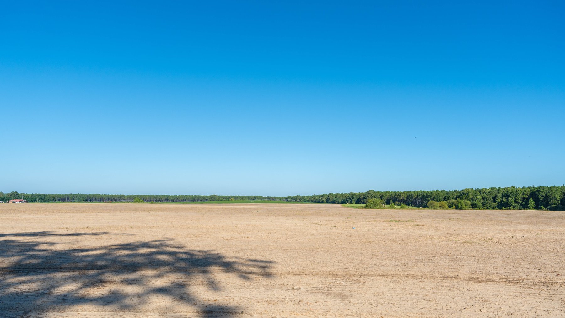Image for 224+/- Total Acres – The Bowen Farm - Productive Farmland w/ Brick Home, Coastal Hayfields & Large Metal Building
