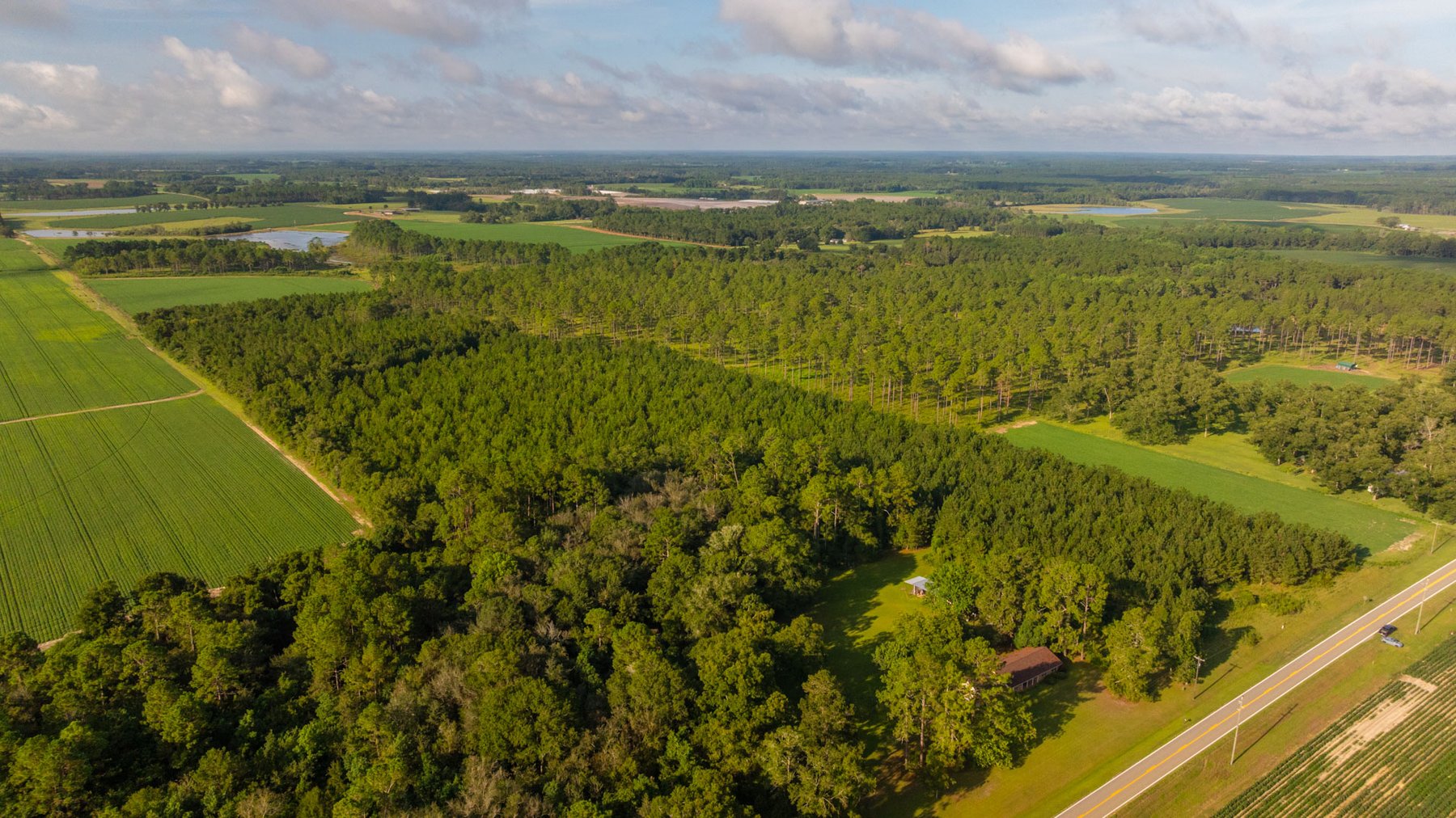 Image for 28+/- Total Acres - Versatile Land for Recreation & Living