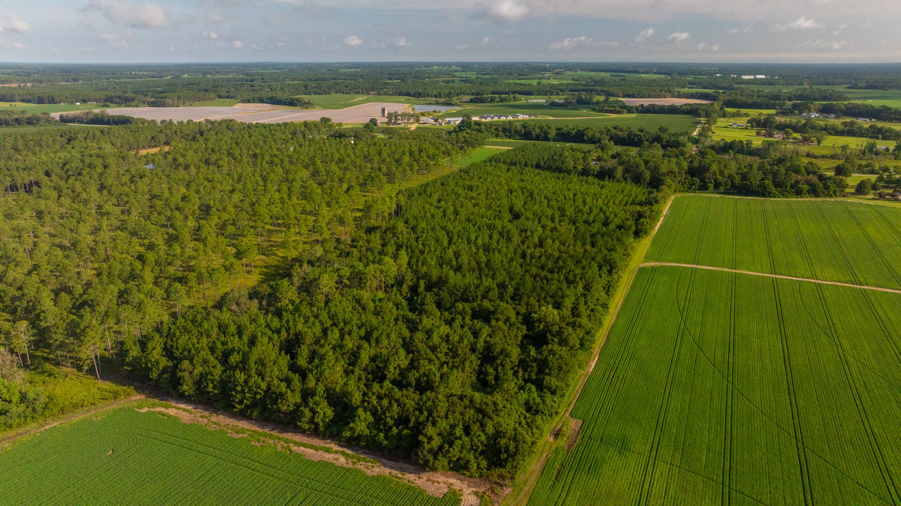 Image for 28+/- Total Acres - Versatile Land for Recreation & Living