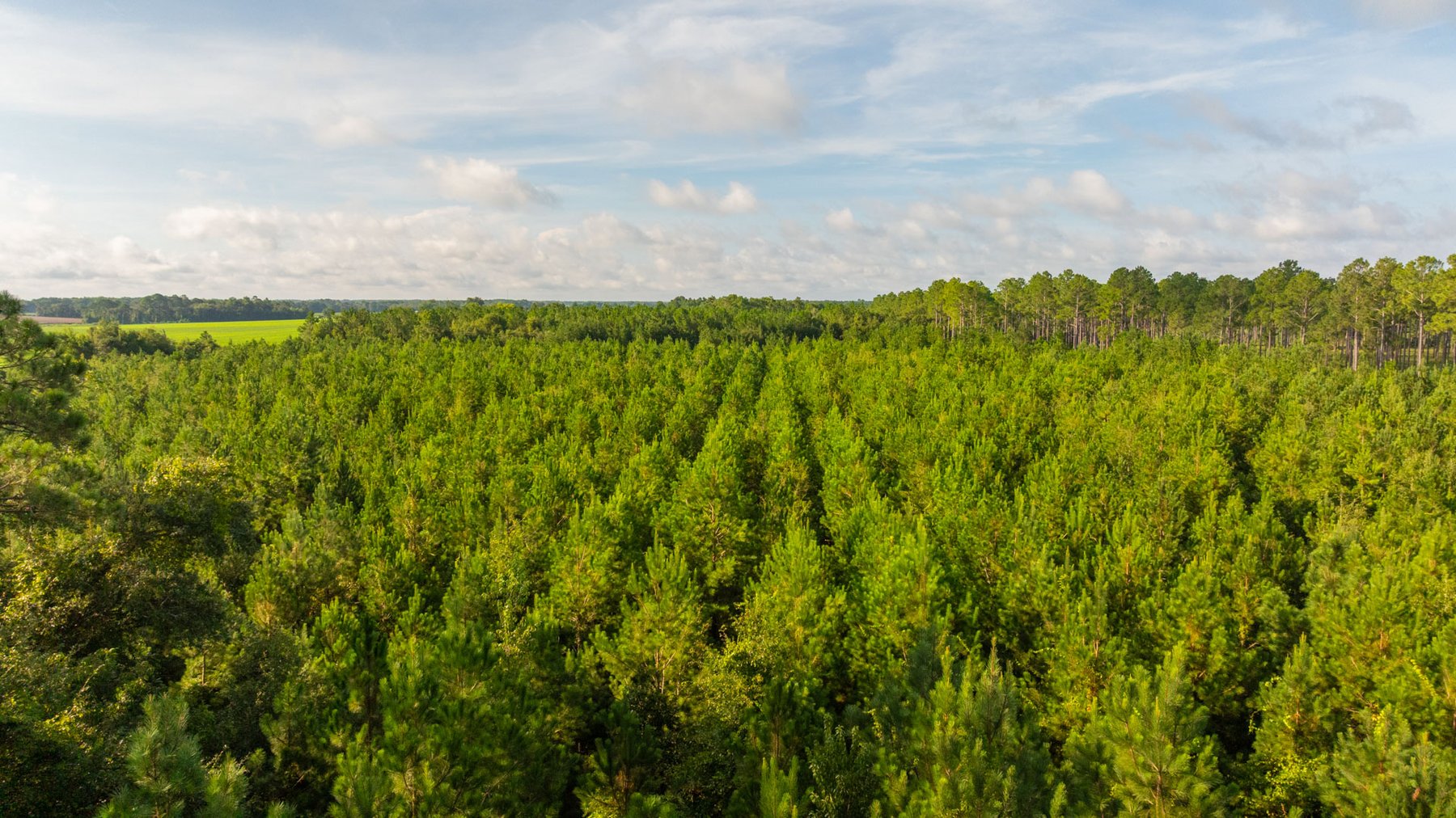 Image for 28+/- Total Acres - Versatile Land for Recreation & Living