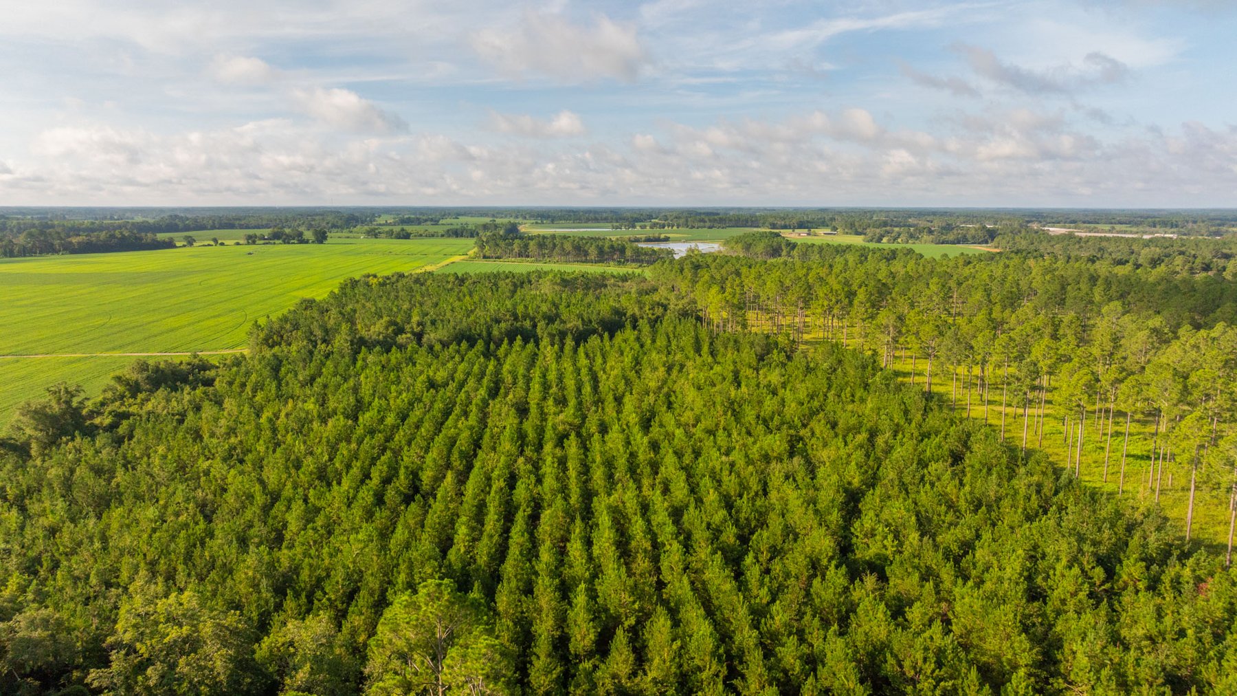 Image for 28+/- Total Acres - Versatile Land for Recreation & Living