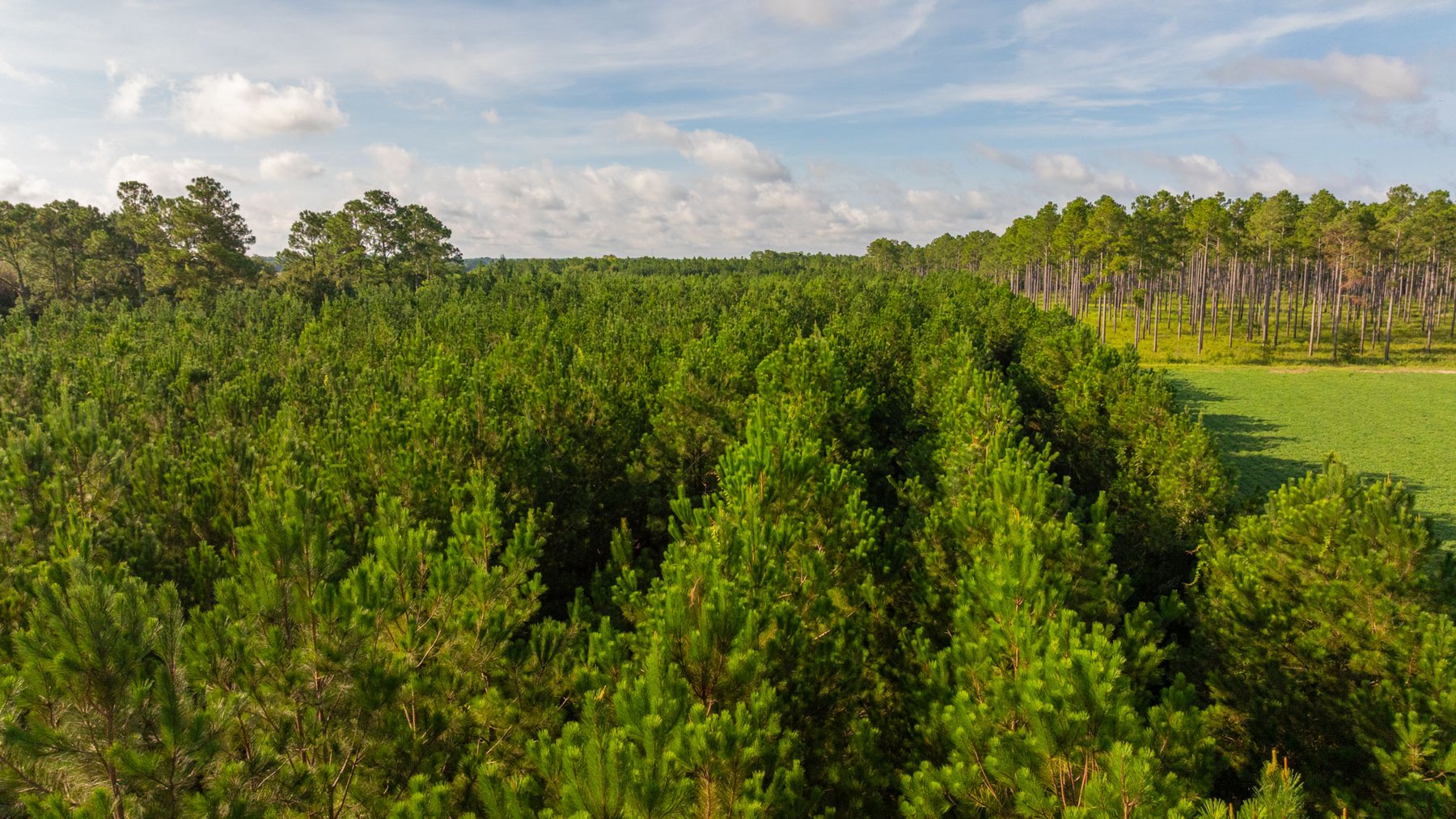 Image for 28+/- Total Acres - Versatile Land for Recreation & Living