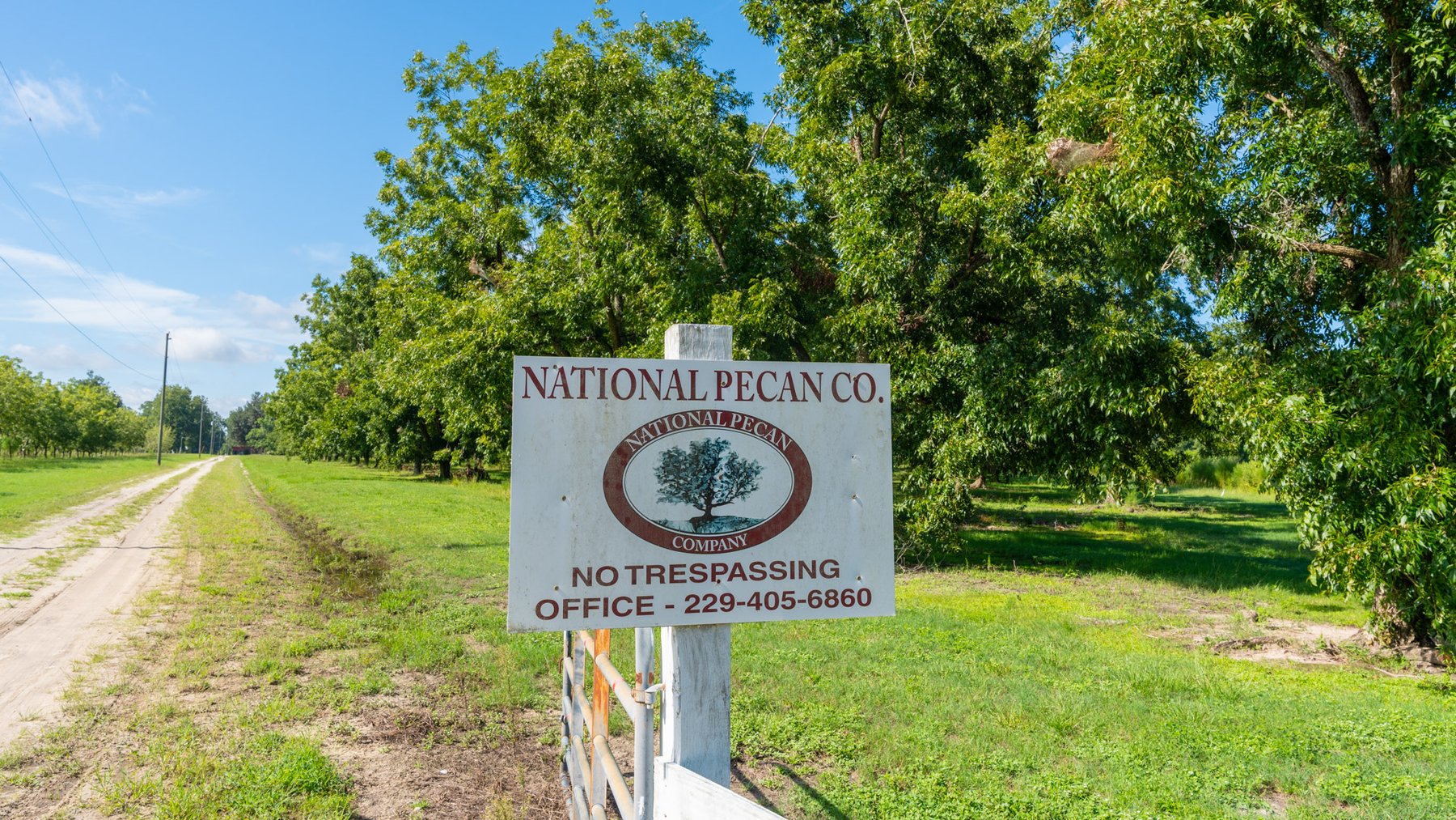 Image for 235± Acres – Woodard Orchard - Irrigated Pecan Orchard with Pond,  Homes, Buildings & Improvements - Prime Development Potential