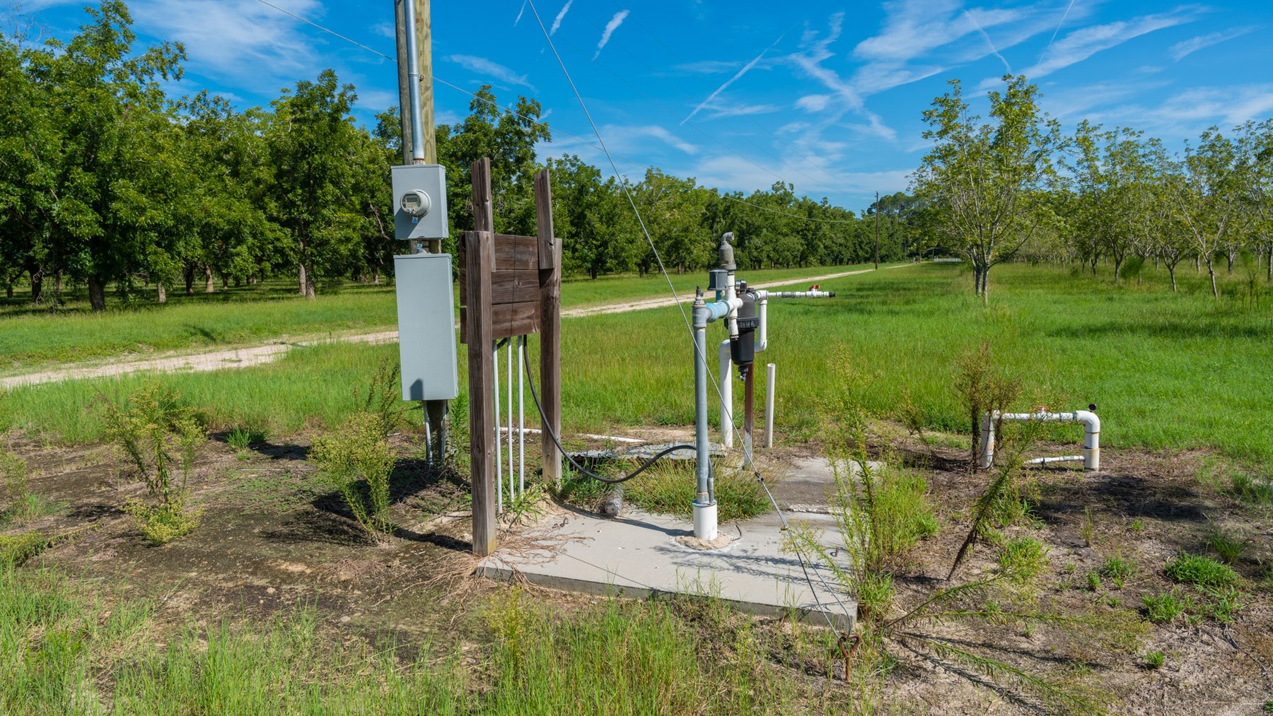 Image for 235± Acres – Woodard Orchard - Irrigated Pecan Orchard with Pond,  Homes, Buildings & Improvements - Prime Development Potential