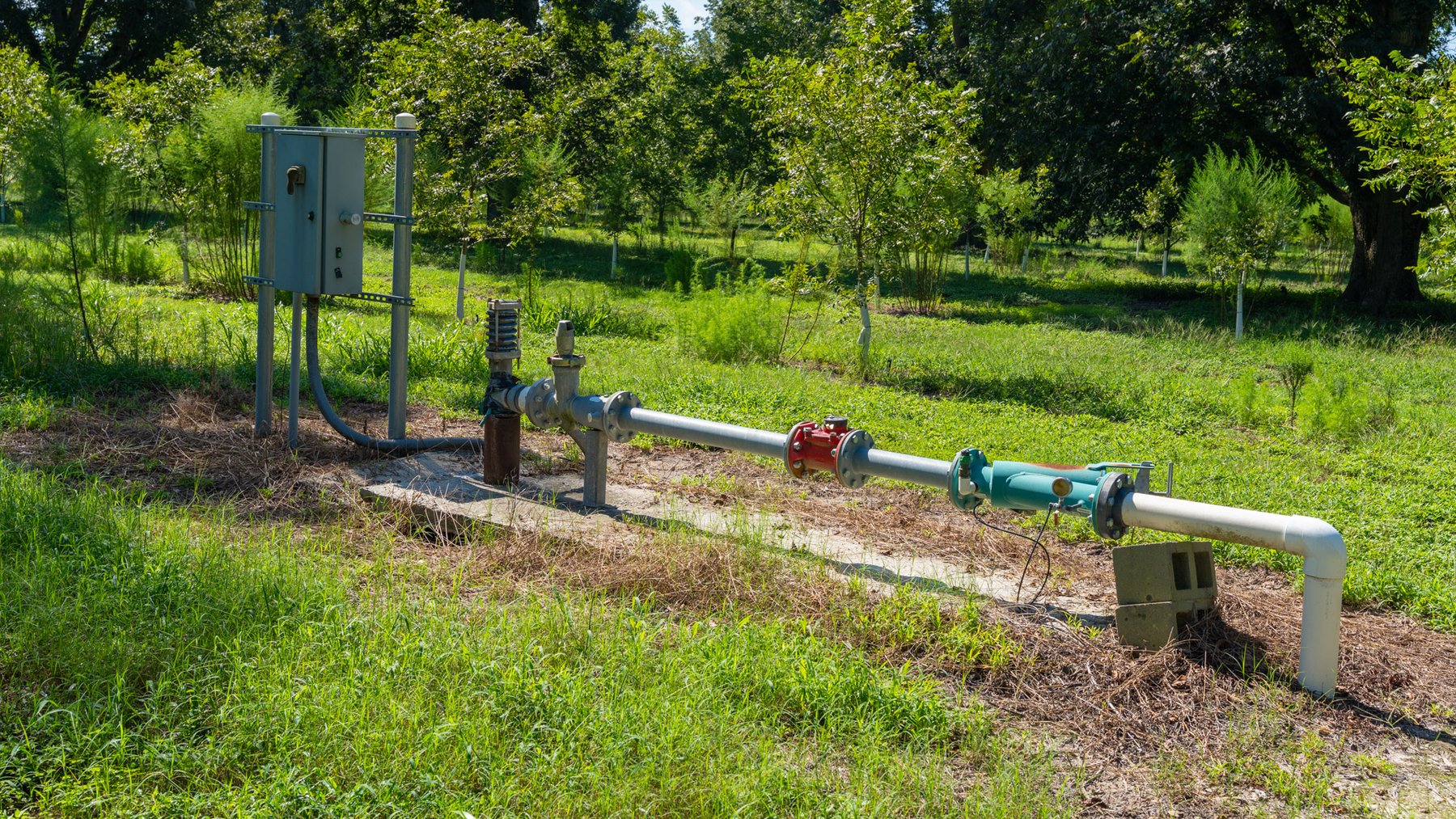 Image for 235± Acres – Woodard Orchard - Irrigated Pecan Orchard with Pond,  Homes, Buildings & Improvements - Prime Development Potential