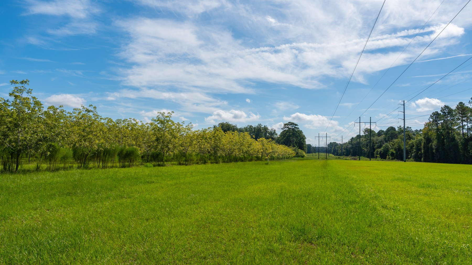 Image for 235± Acres – Woodard Orchard - Irrigated Pecan Orchard with Pond,  Homes, Buildings & Improvements - Prime Development Potential