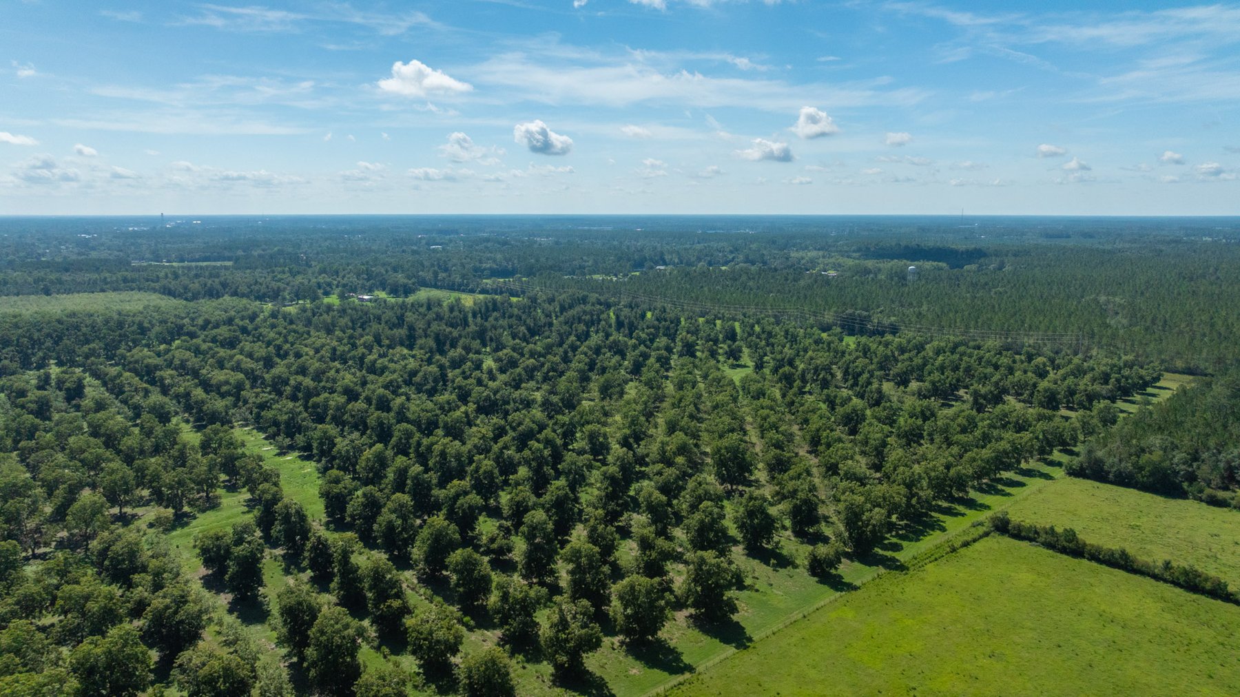 Image for 235± Acres – Woodard Orchard - Irrigated Pecan Orchard with Pond,  Homes, Buildings & Improvements - Prime Development Potential