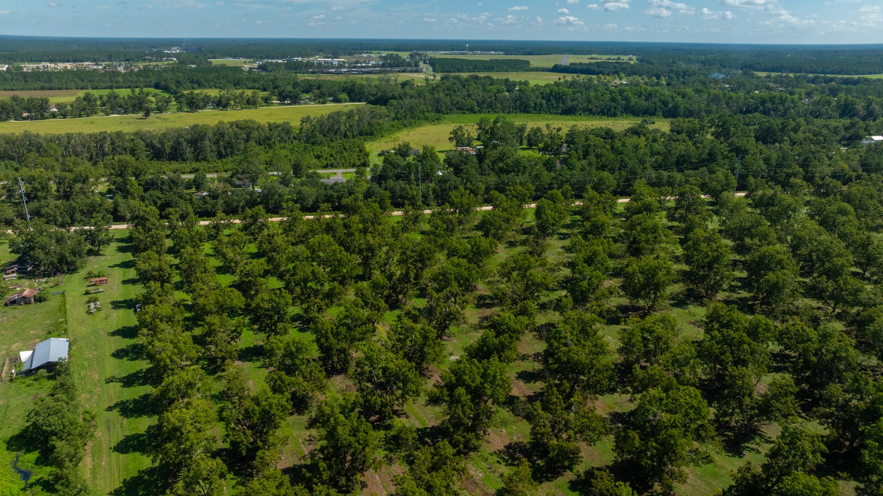 Image for 235± Acres – Woodard Orchard - Irrigated Pecan Orchard with Pond,  Homes, Buildings & Improvements - Prime Development Potential
