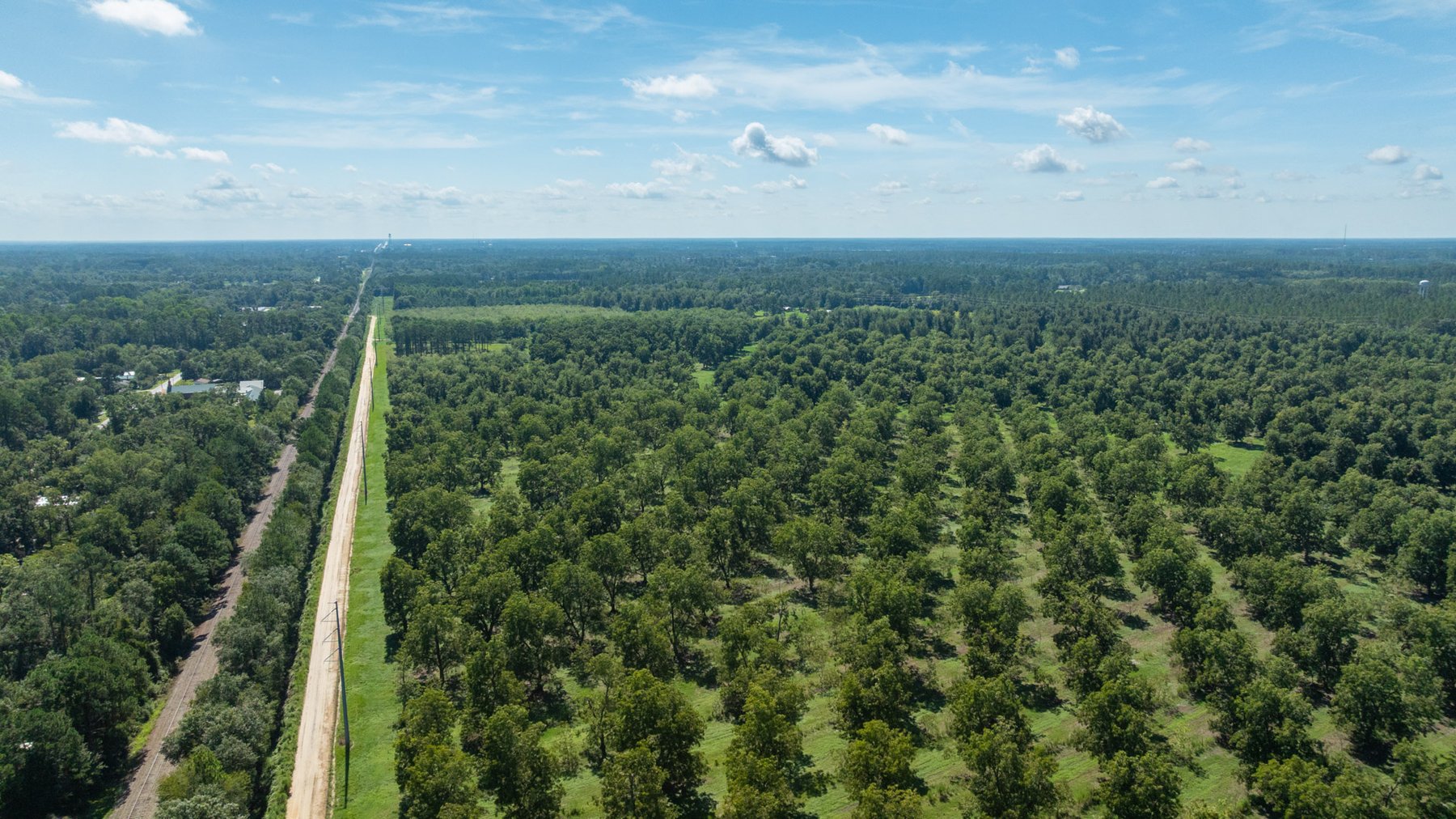 Image for 235± Acres – Woodard Orchard - Irrigated Pecan Orchard with Pond,  Homes, Buildings & Improvements - Prime Development Potential