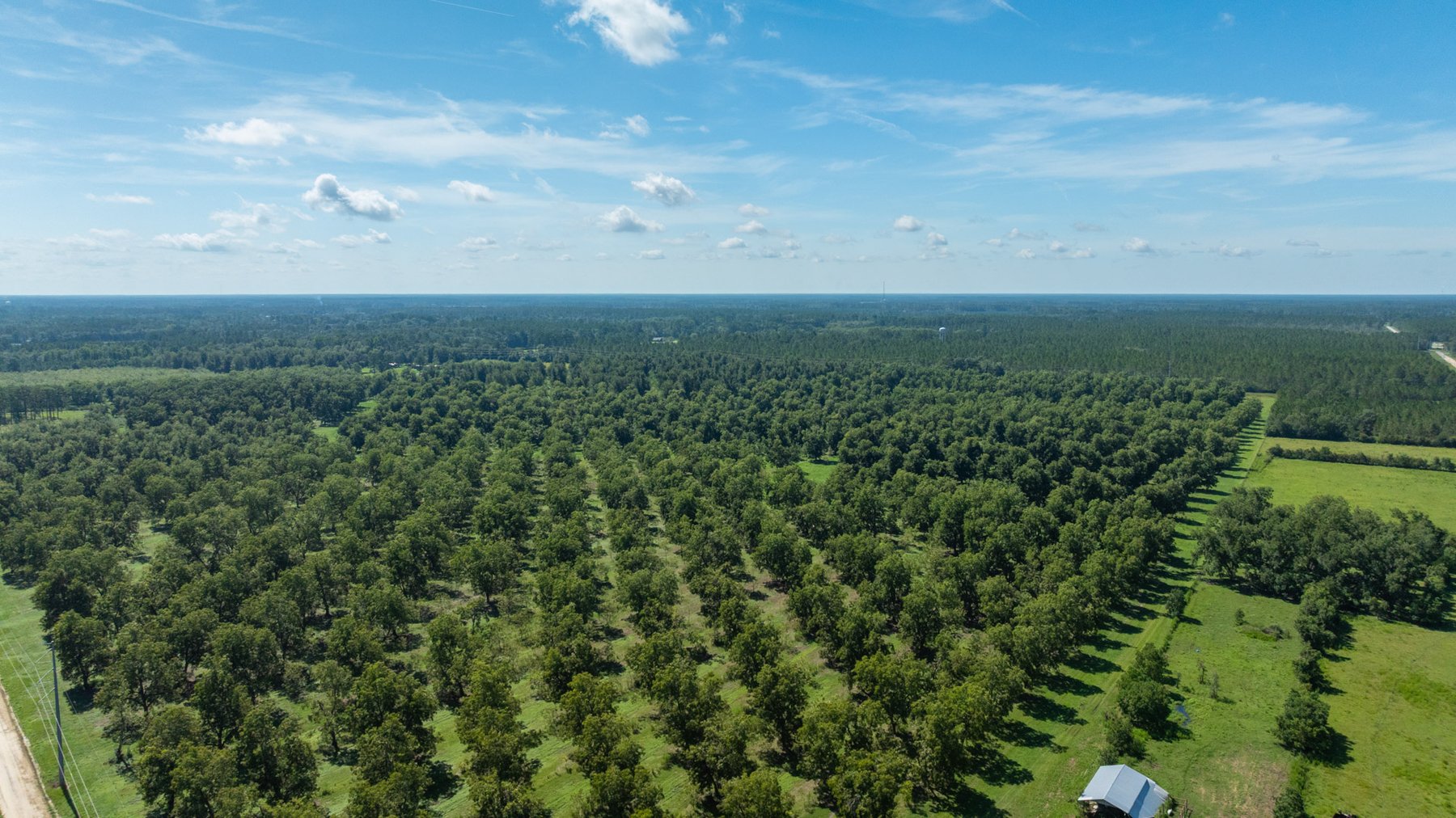 Image for 235± Acres – Woodard Orchard - Irrigated Pecan Orchard with Pond,  Homes, Buildings & Improvements - Prime Development Potential