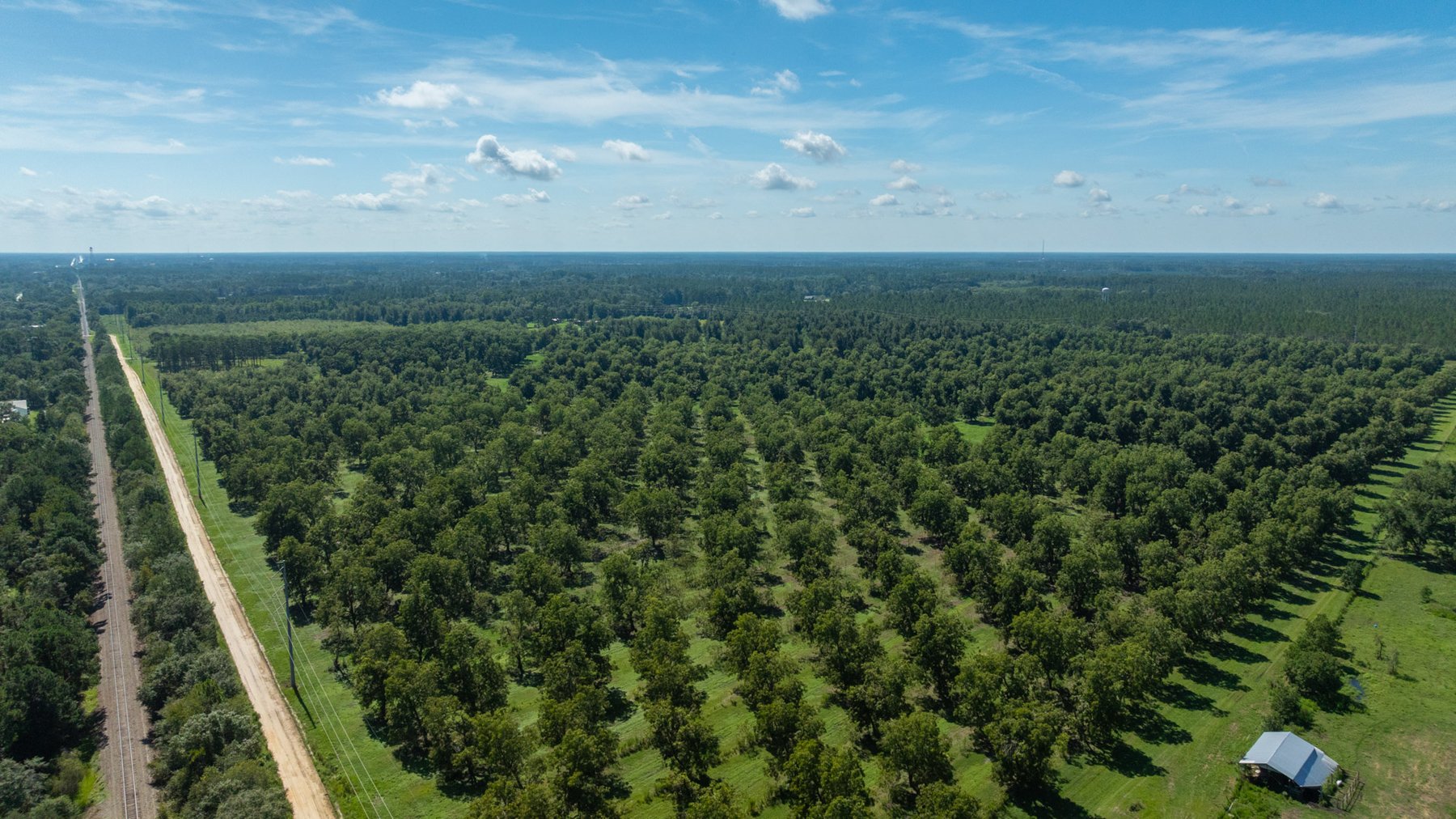 Image for 235± Acres – Woodard Orchard - Irrigated Pecan Orchard with Pond,  Homes, Buildings & Improvements - Prime Development Potential