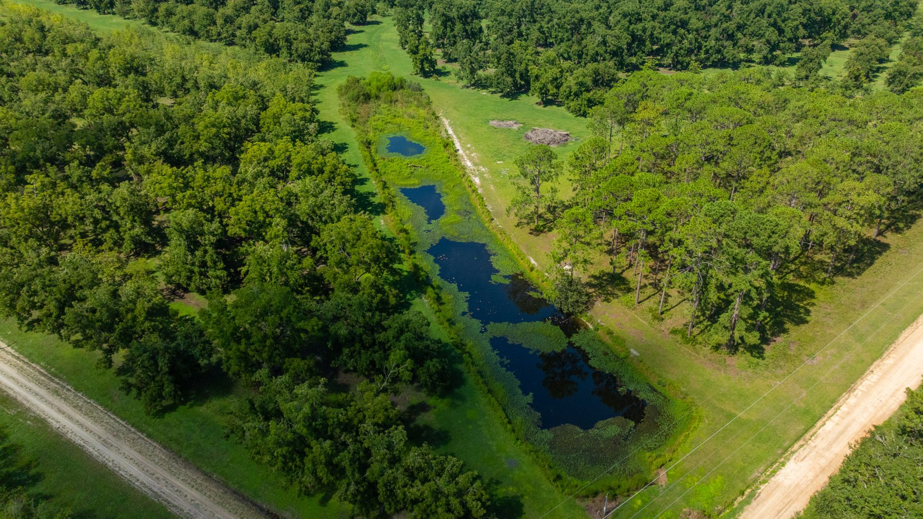 Image for 235± Acres – Woodard Orchard - Irrigated Pecan Orchard with Pond,  Homes, Buildings & Improvements - Prime Development Potential
