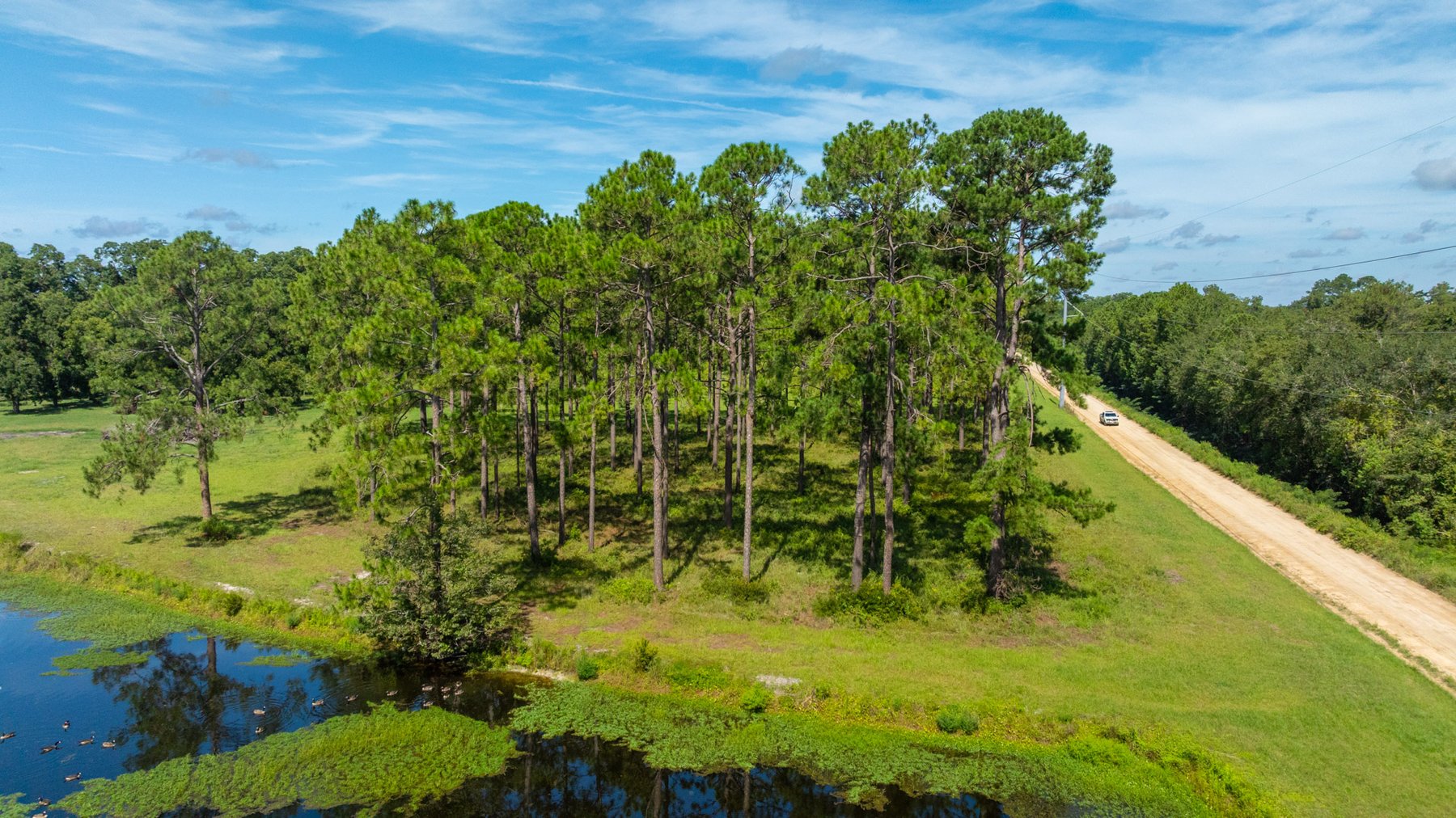 Image for 235± Acres – Woodard Orchard - Irrigated Pecan Orchard with Pond,  Homes, Buildings & Improvements - Prime Development Potential